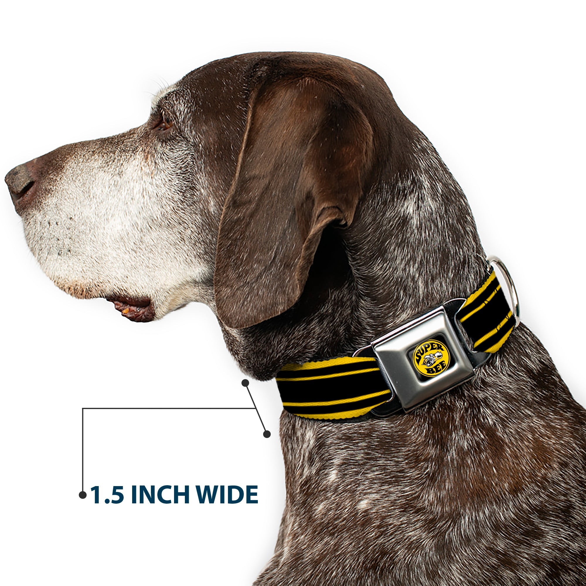 Buckle-Down Super Bee Logo Full Color Black/Yellow/White Seatbelt Buckle Dog Collar - Super Bee Logo/Stripes Black/Yellow/White
