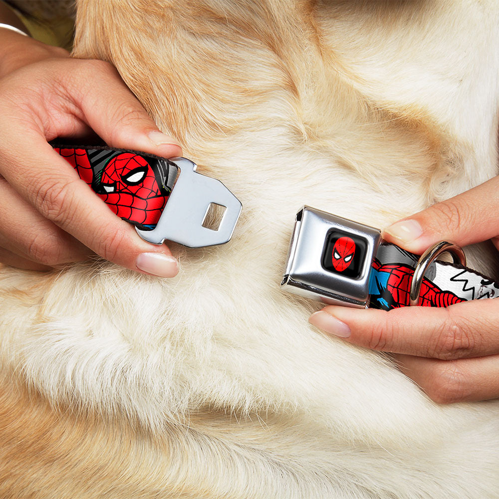 MARVEL UNIVERSE Spider-Man Full Color Seatbelt Buckle Collar - Spider-Man w/Action Verbiage