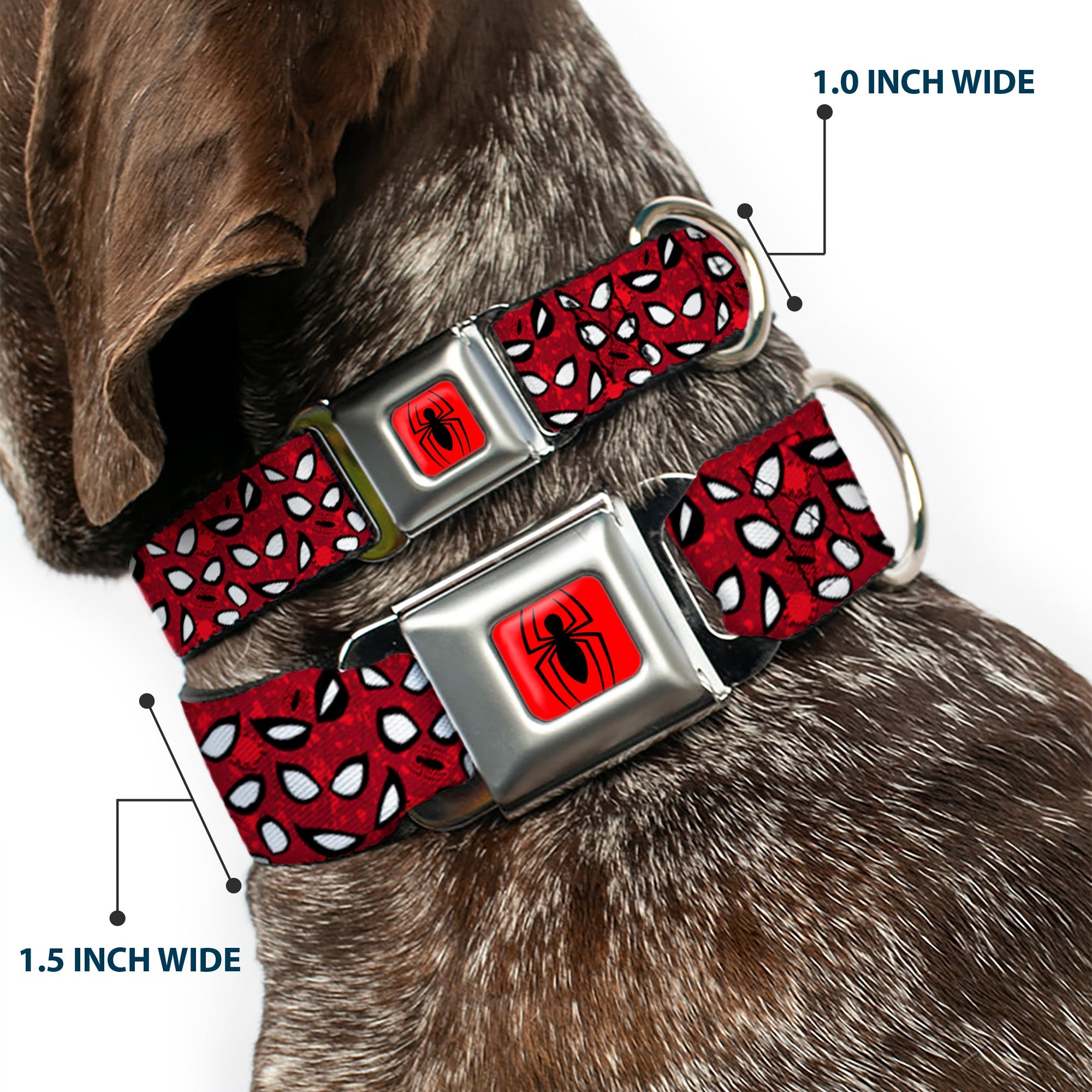 Spider Logo5 Red/Black Seatbelt Buckle Collar - Spider-Man Eyes/Spiders Scattered Reds/Black/White