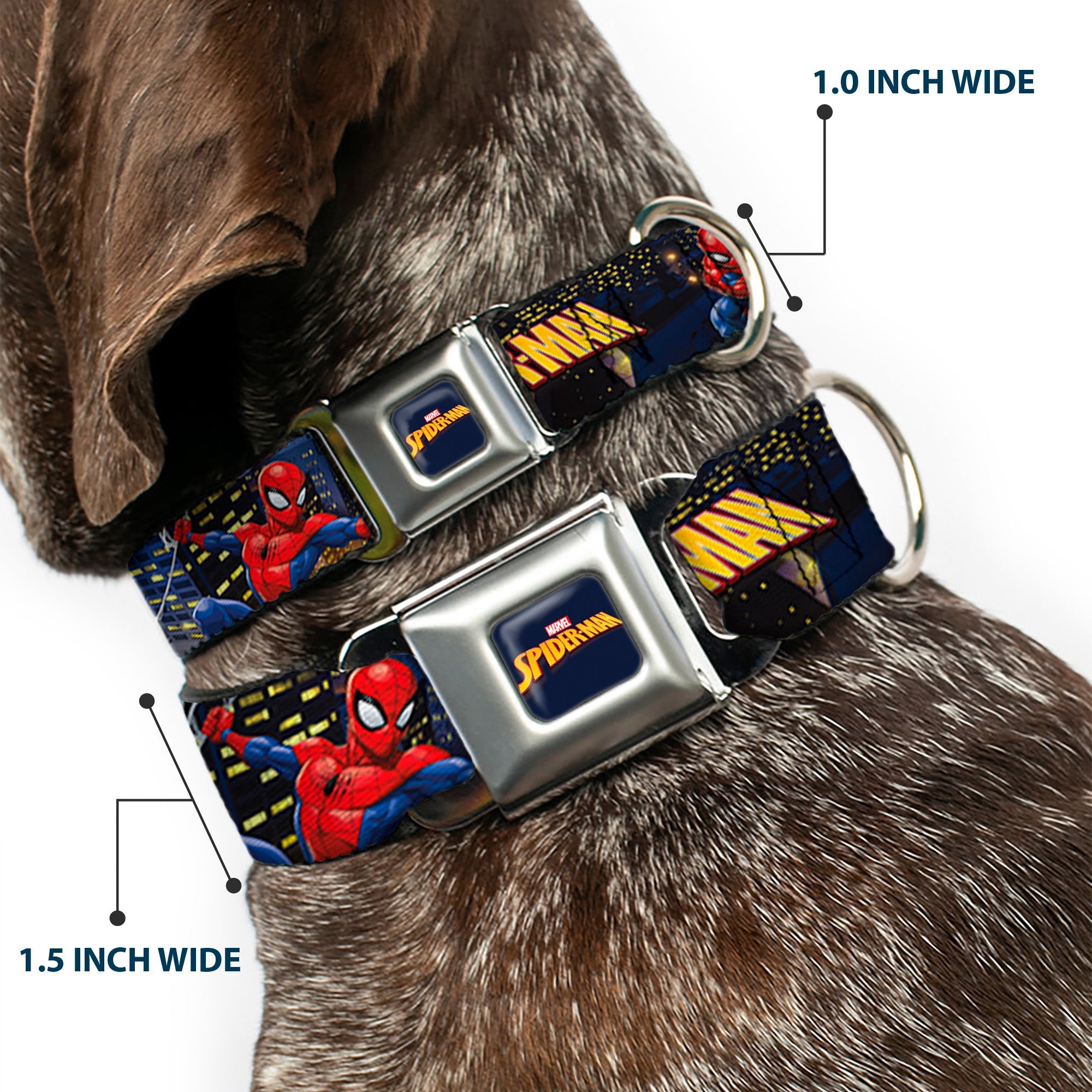 MARVEL SPIDER-MAN Title Logo Full Color Dark Blue Seatbelt Buckle Collar - SPIDER-MAN Title Logo and Action Skyline Poses