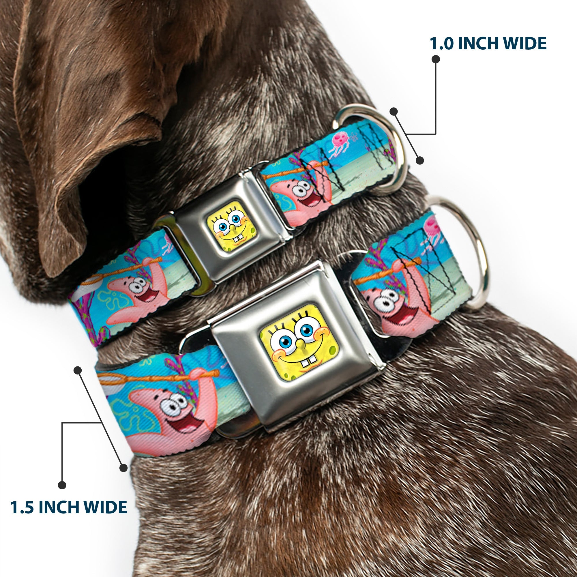 Sponge Bob 3-D Face CLOSE-UP Full Color Seatbelt Buckle Collar - SpongeBob & Patrick Starfish Jellyfishing Scenes