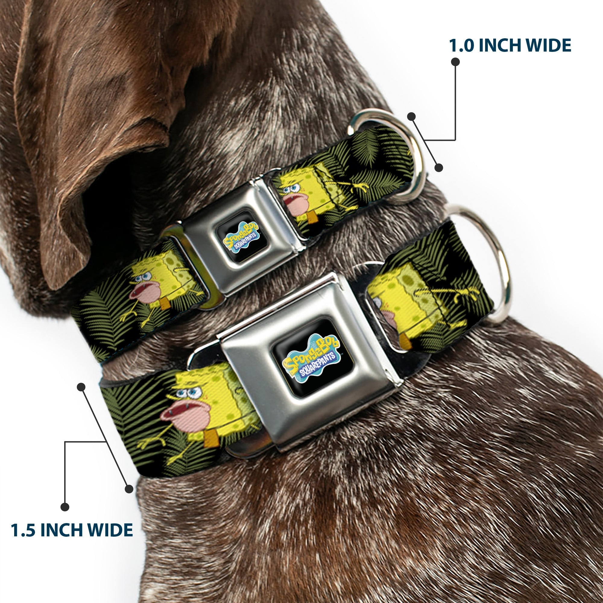 SpongeBob SquarePants Logo2 Full Color Black Seatbelt Buckle Collar - Primitive Sponge Pose/Leaves Black/Green