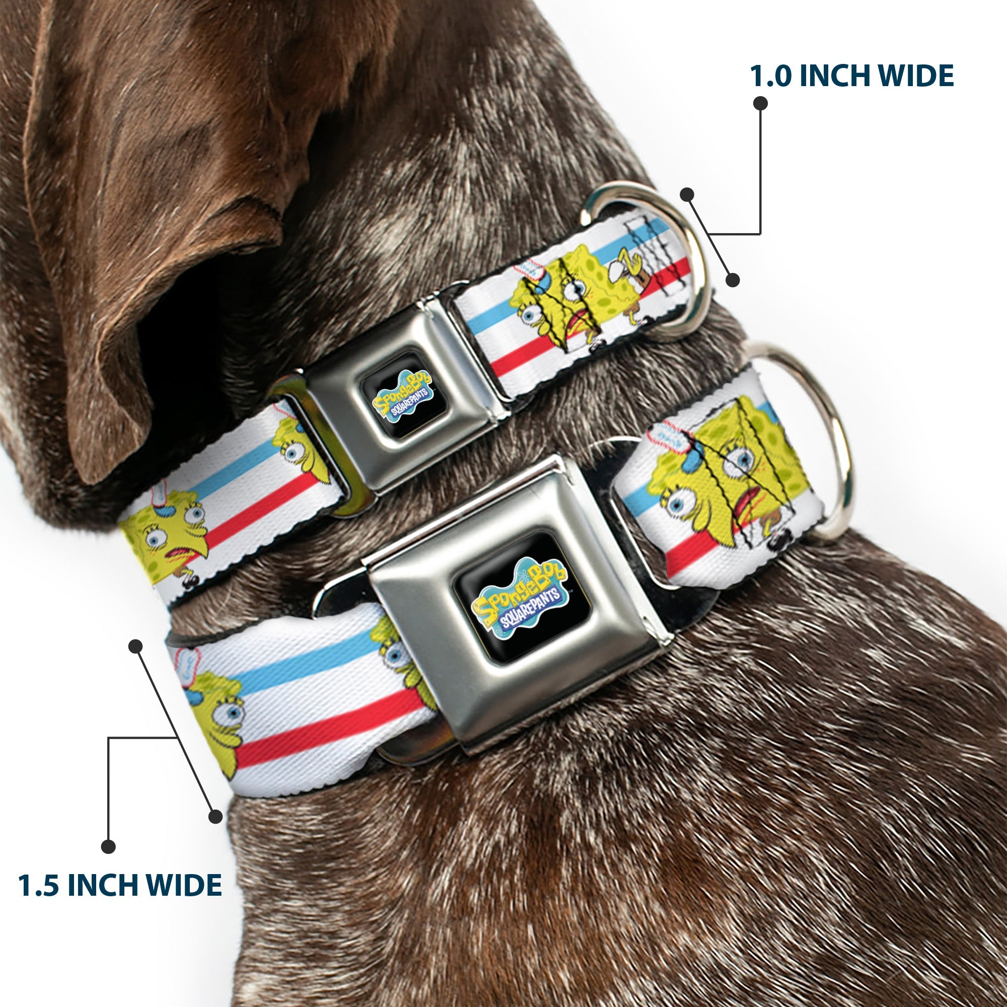 SpongeBob SquarePants Logo2 Full Color Black Seatbelt Buckle Collar - Mocking SpongeBob Pose Stripe White/Blue/Red