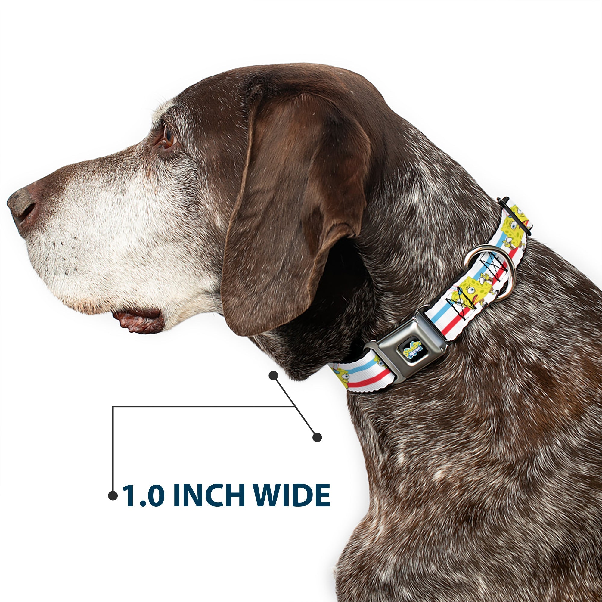 SpongeBob SquarePants Logo2 Full Color Black Seatbelt Buckle Collar - Mocking SpongeBob Pose Stripe White/Blue/Red