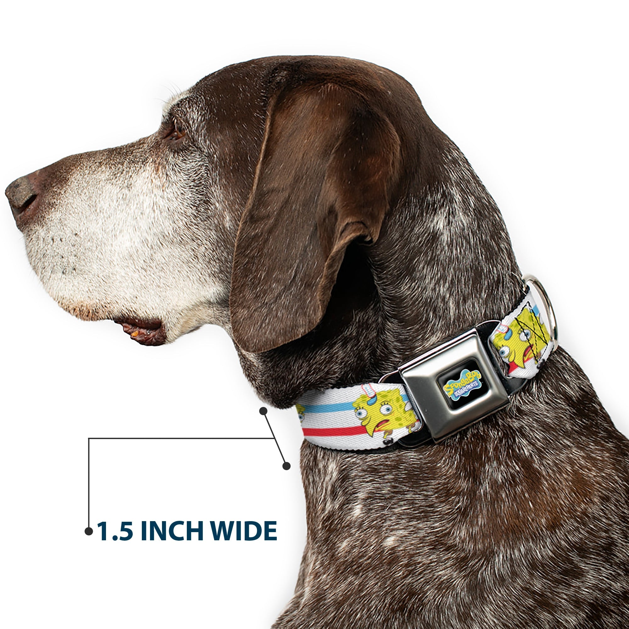 SpongeBob SquarePants Logo2 Full Color Black Seatbelt Buckle Collar - Mocking SpongeBob Pose Stripe White/Blue/Red