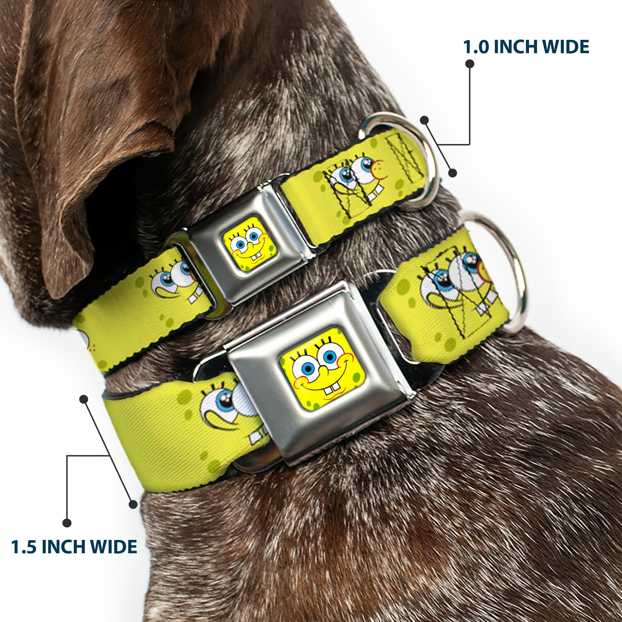 SpongeBob Face CLOSE-UP Full Color Seatbelt Buckle Collar - SpongeBob Expressions Yellow