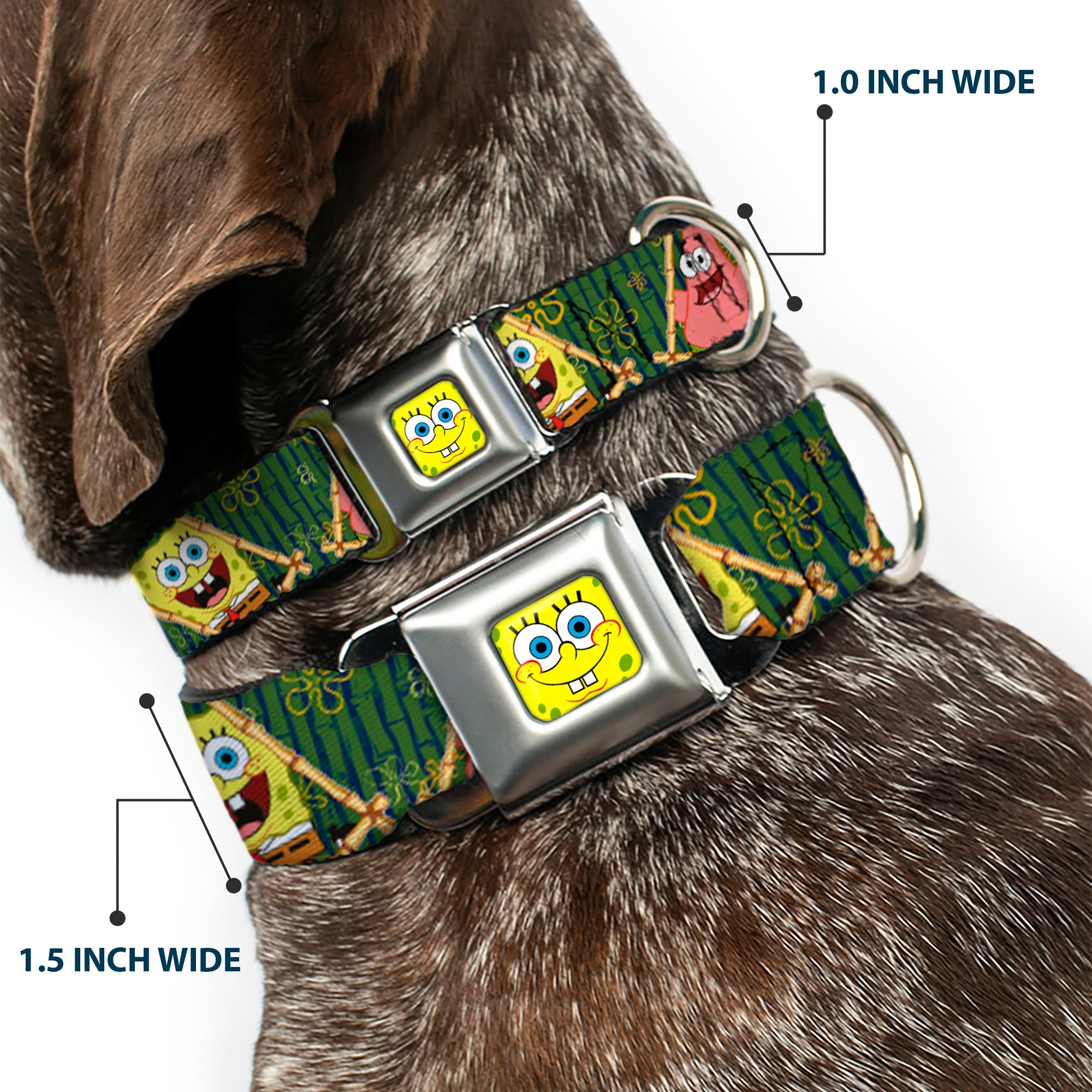 Sponge Bob Face CLOSE-UP Full Color Seatbelt Buckle Collar - SpongeBob & Patrick Starfish Bamboo Frames/Logo