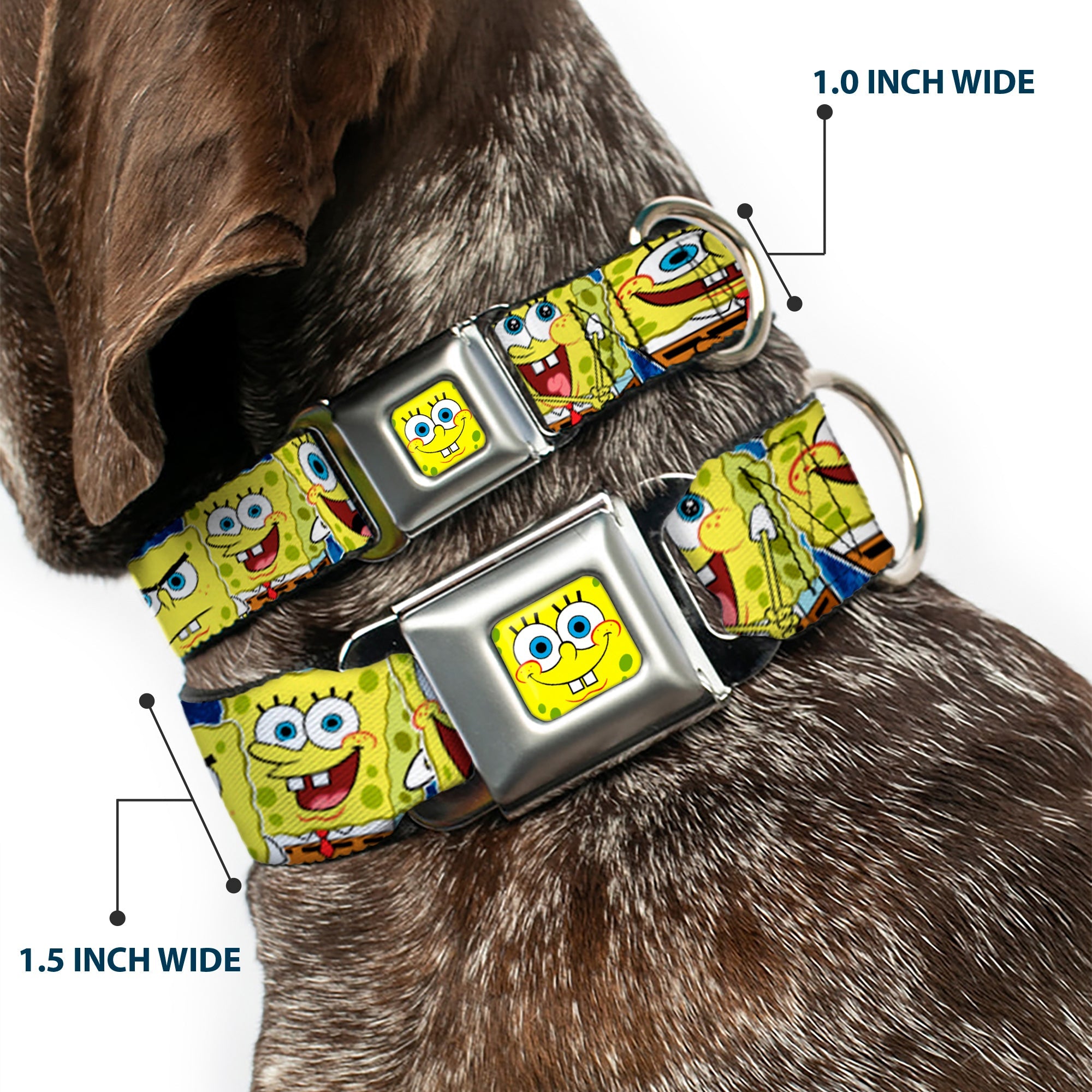 Sponge Bob Face CLOSE-UP Full Color Seatbelt Buckle Collar - SpongeBob Expressions Stripe Blue