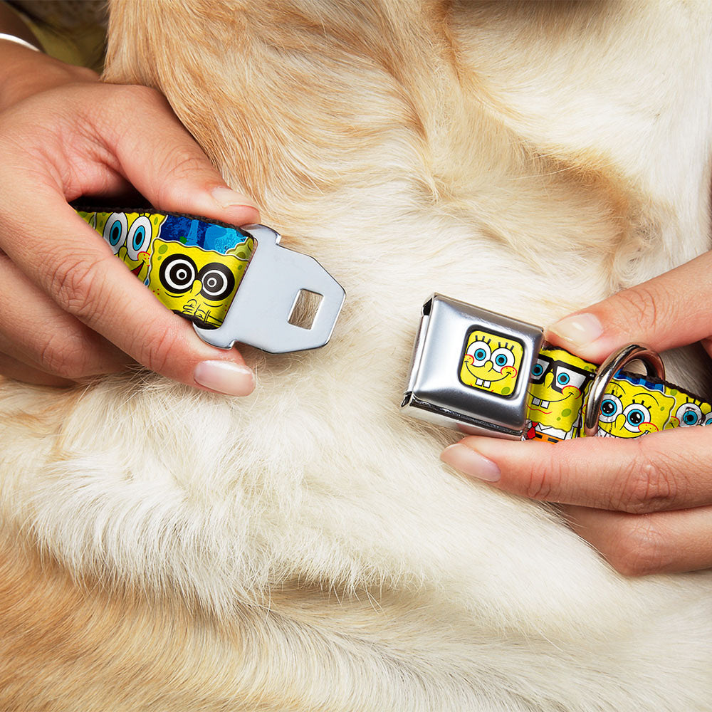 Sponge Bob Face CLOSE-UP Full Color Seatbelt Buckle Collar - SpongeBob Expressions Stripe Blue
