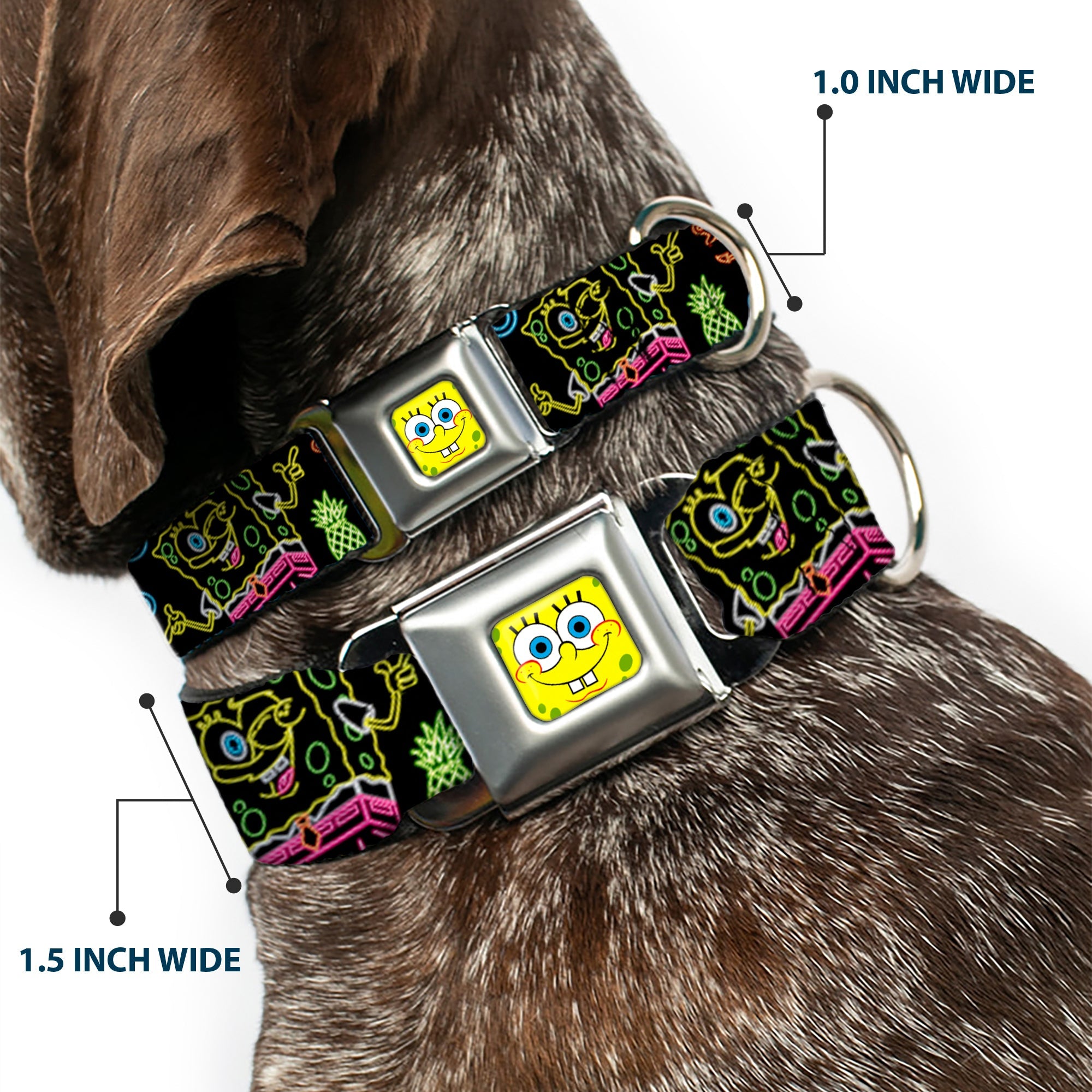 SpongeBob Face CLOSE-UP Full Color Seatbelt Buckle Collar - Electric SpongeBob Poses/Elements Black/Multi Color