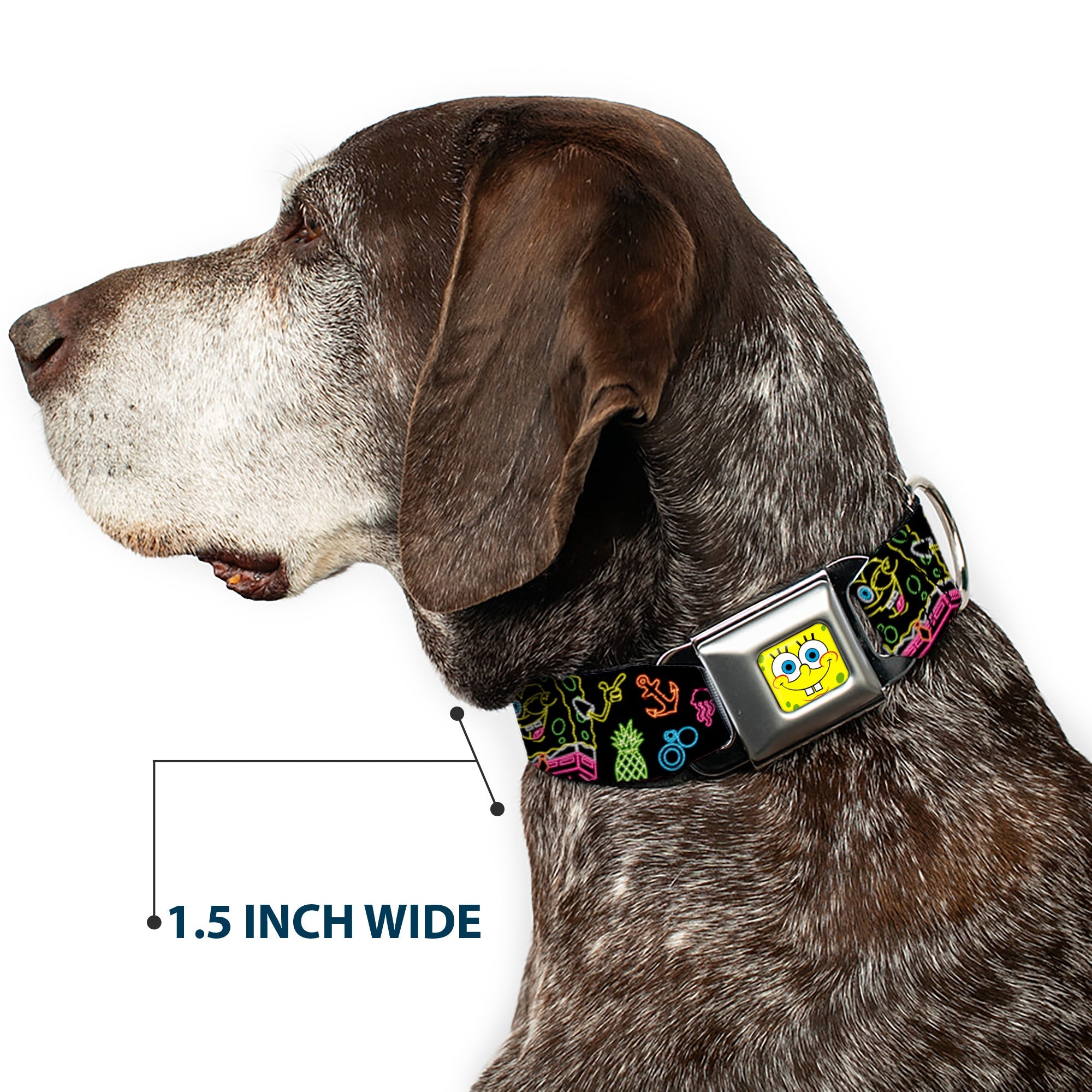 SpongeBob Face CLOSE-UP Full Color Seatbelt Buckle Collar - Electric SpongeBob Poses/Elements Black/Multi Color
