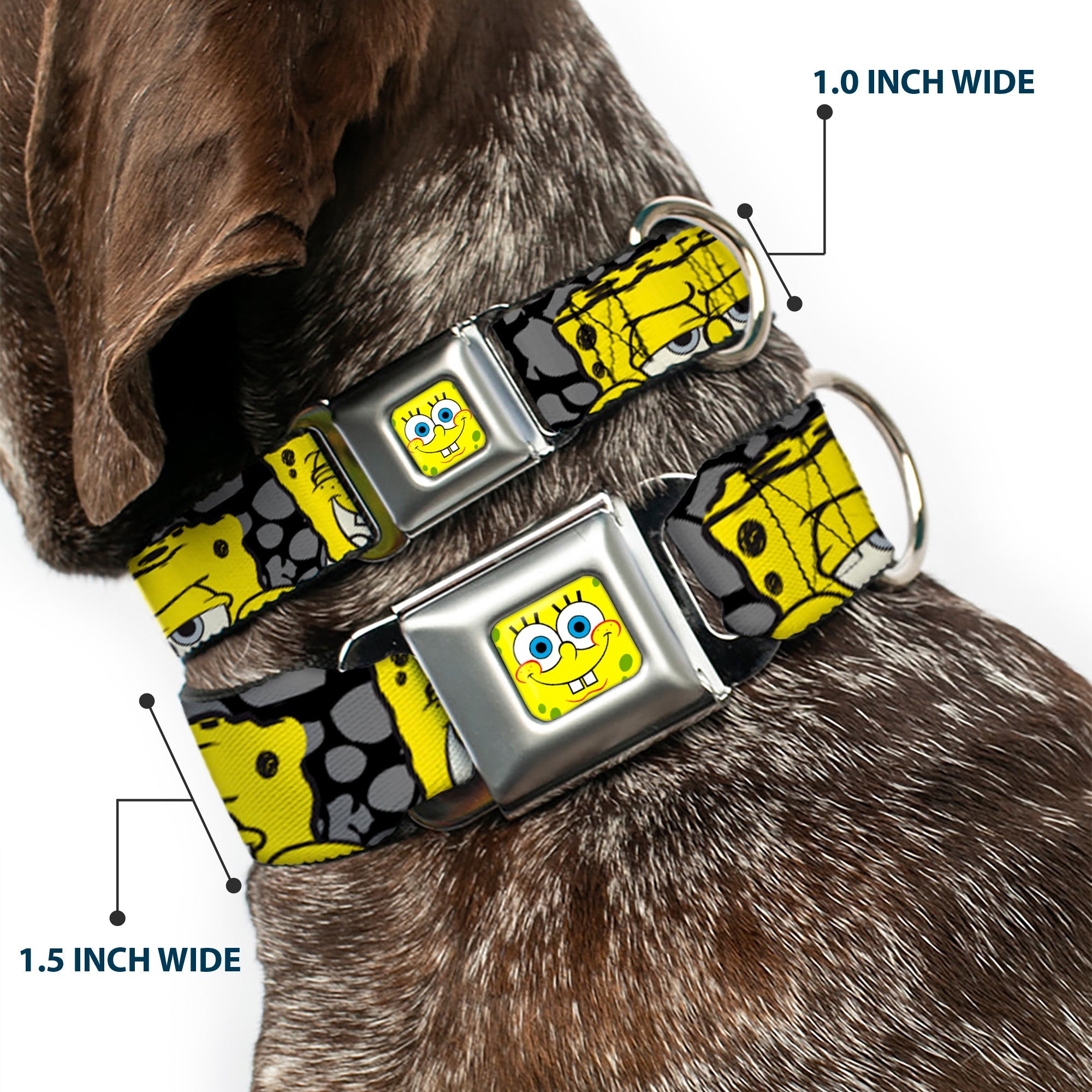 SpongeBob Face CLOSE-UP Full Color Seatbelt Buckle Collar - SpongeBob 4-CLOSE-UP Expressions/Crackle Black/Gray/Yellow