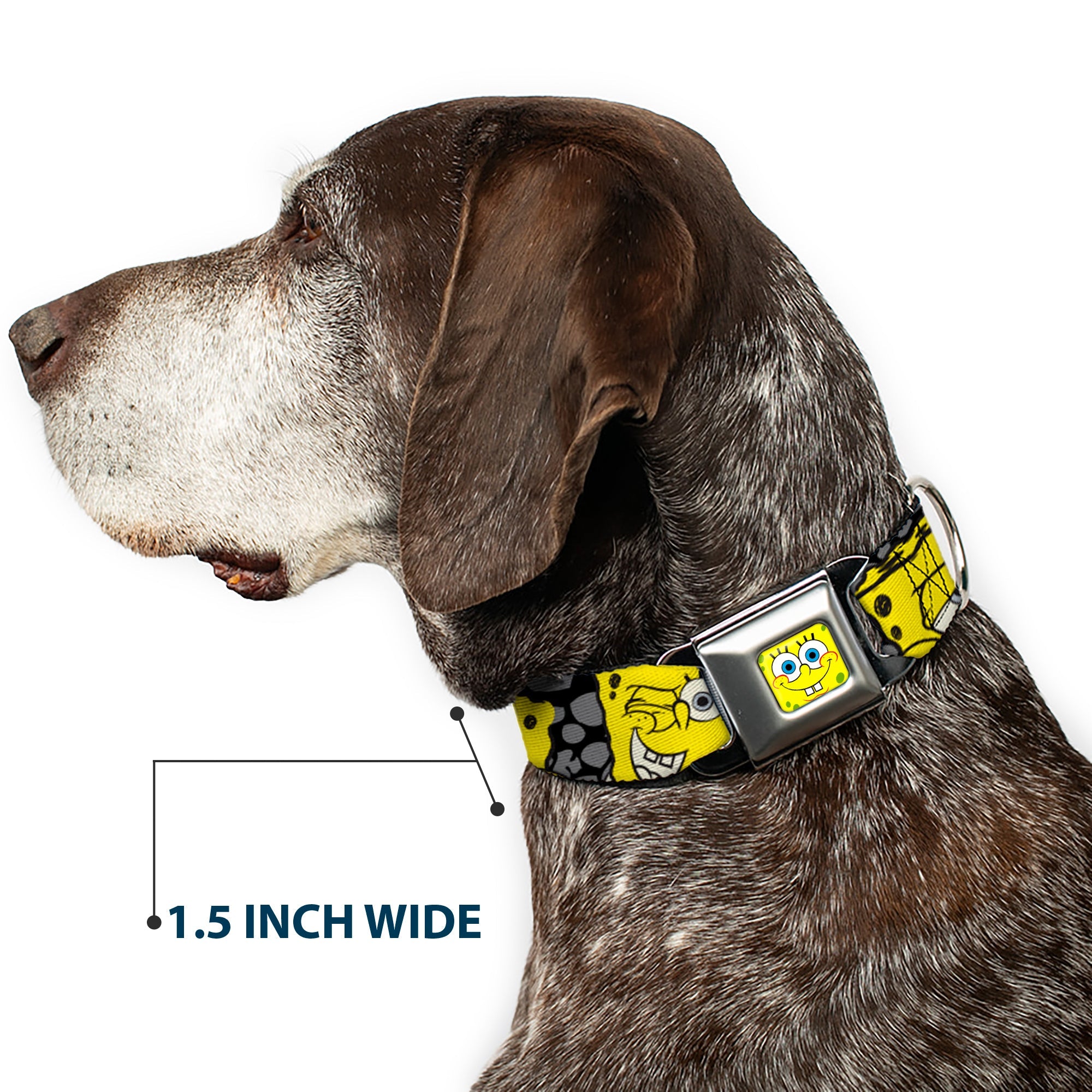 SpongeBob Face CLOSE-UP Full Color Seatbelt Buckle Collar - SpongeBob 4-CLOSE-UP Expressions/Crackle Black/Gray/Yellow