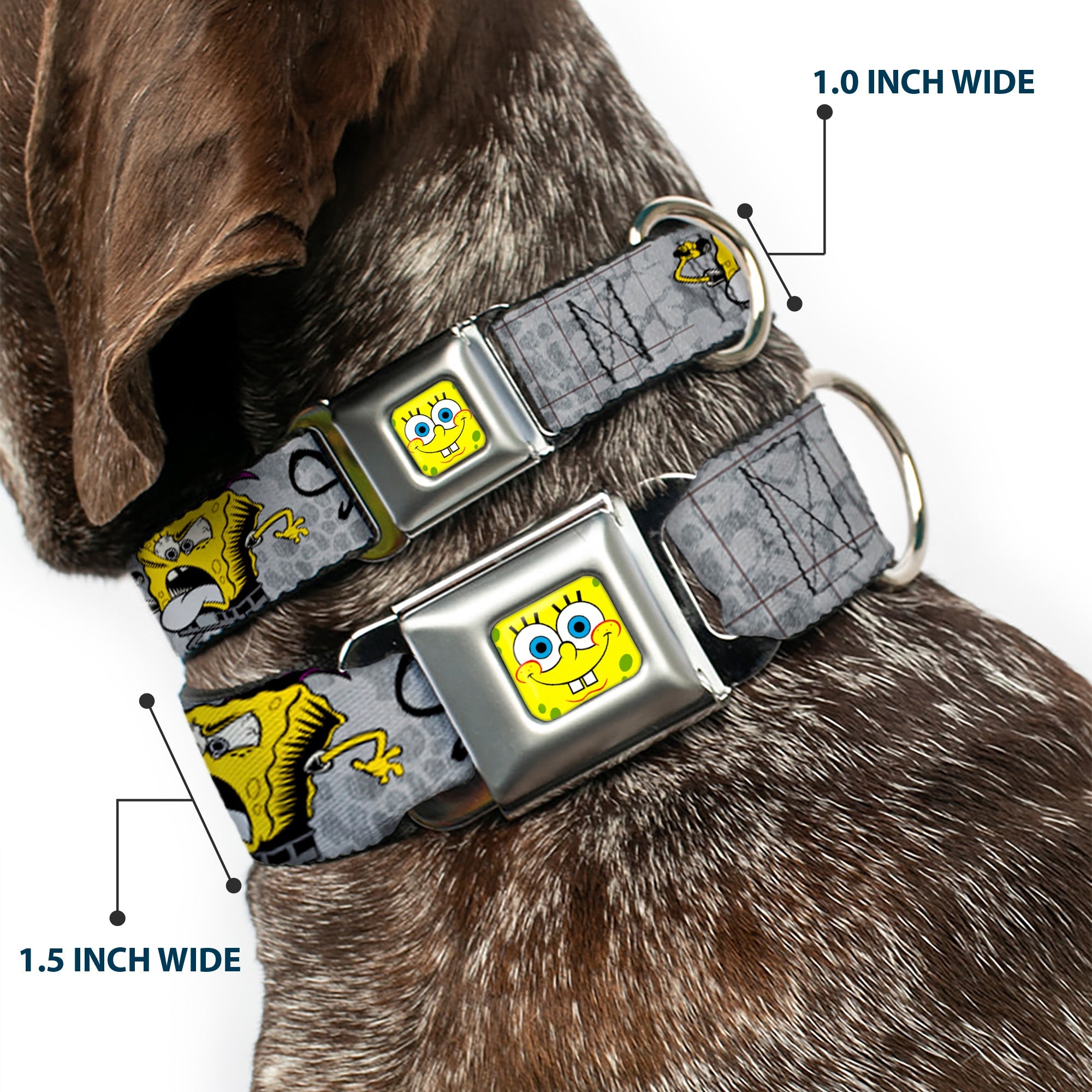 SpongeBob Face CLOSE-UP Full Color Seatbelt Buckle Collar - SpongeBob 3-Poses SPONGEITUDE Grays/Black