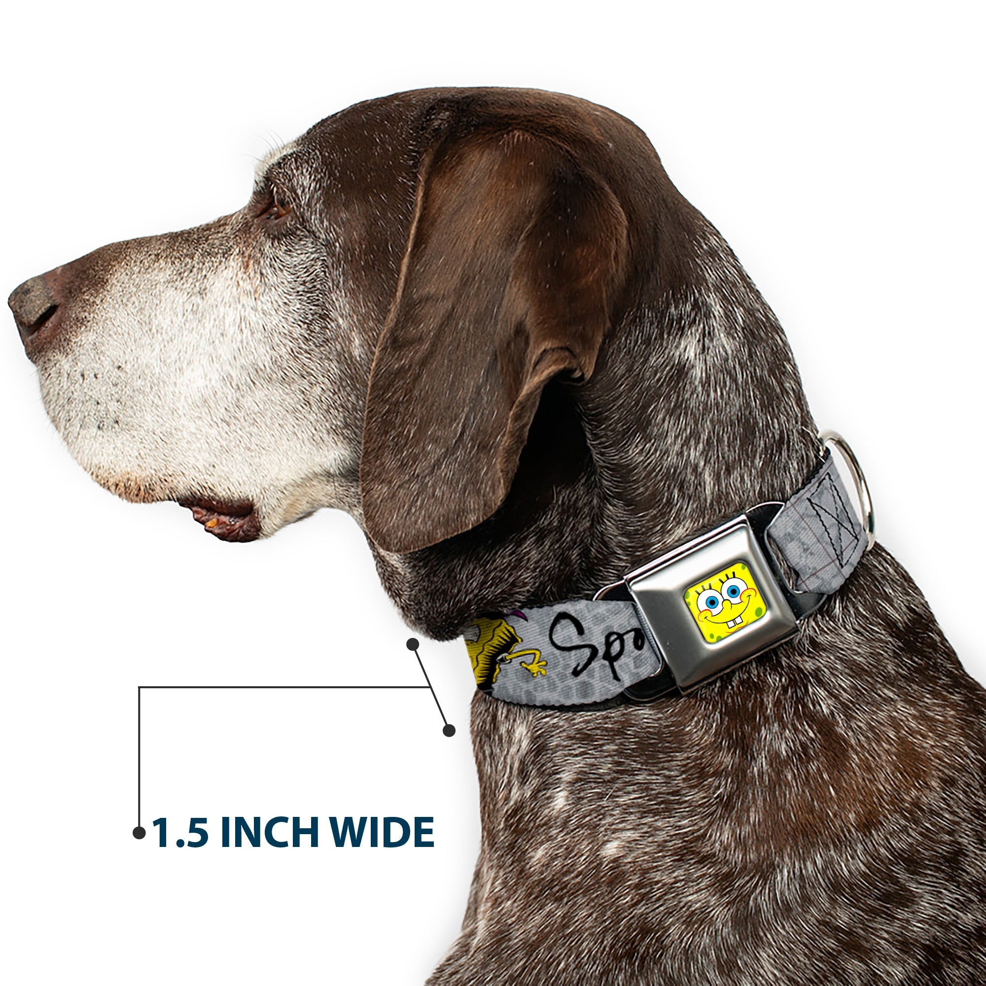 SpongeBob Face CLOSE-UP Full Color Seatbelt Buckle Collar - SpongeBob 3-Poses SPONGEITUDE Grays/Black