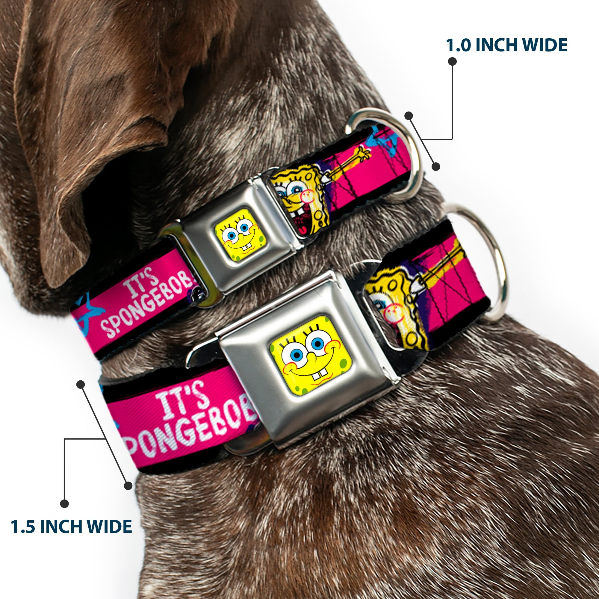 SpongeBob Face CLOSE-UP Full Color Seatbelt Buckle Collar - SpongeBob Pose IT'S SPONGEBOB! Stripe Black/Pink/Blue/White