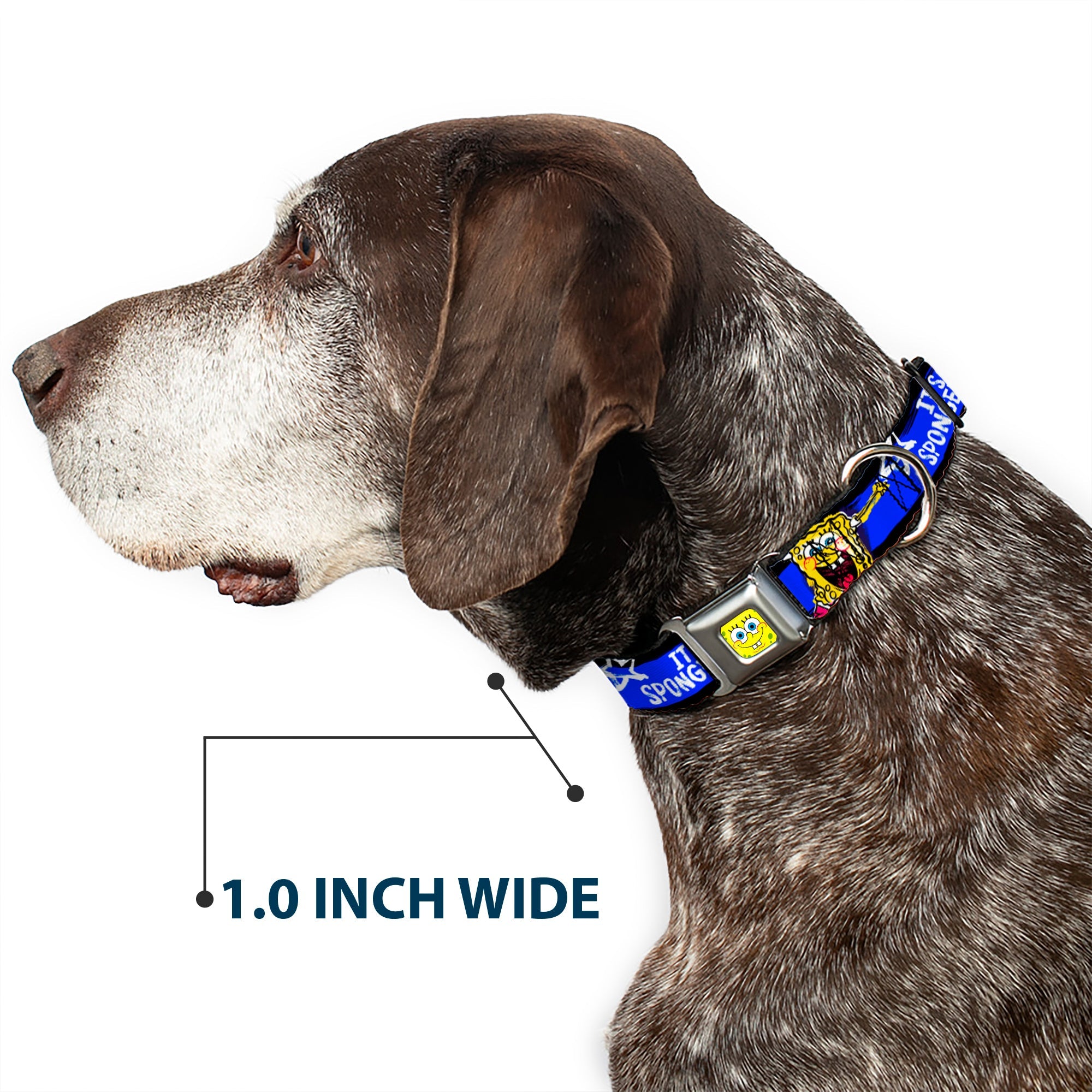 SpongeBob Face CLOSE-UP Full Color Seatbelt Buckle Collar - SpongeBob Pose ITS SPONGEBOB! Stripe Black/Blue/White