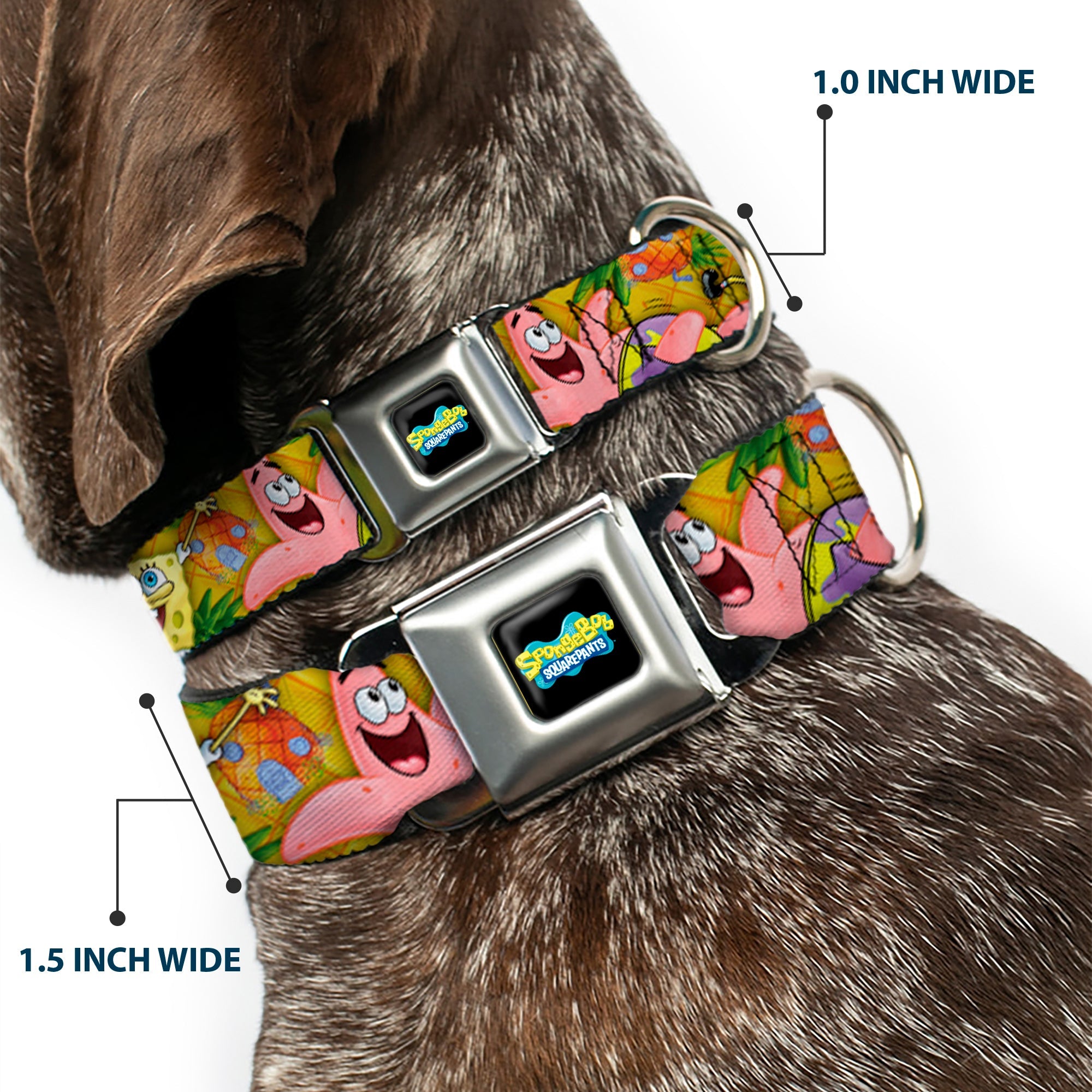 SpongeBob SquarePants Logo Full Color Black Seatbelt Buckle Collar - SpongeBob & Patrick Starfish Poses Pineapple Gold