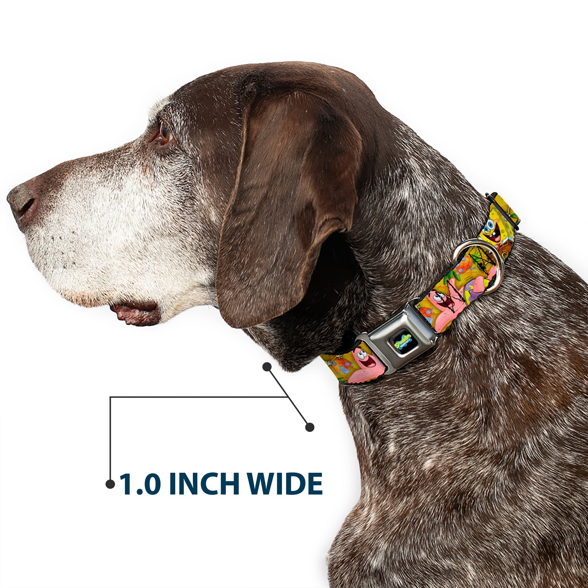 SpongeBob SquarePants Logo Full Color Black Seatbelt Buckle Collar - SpongeBob & Patrick Starfish Poses Pineapple Gold