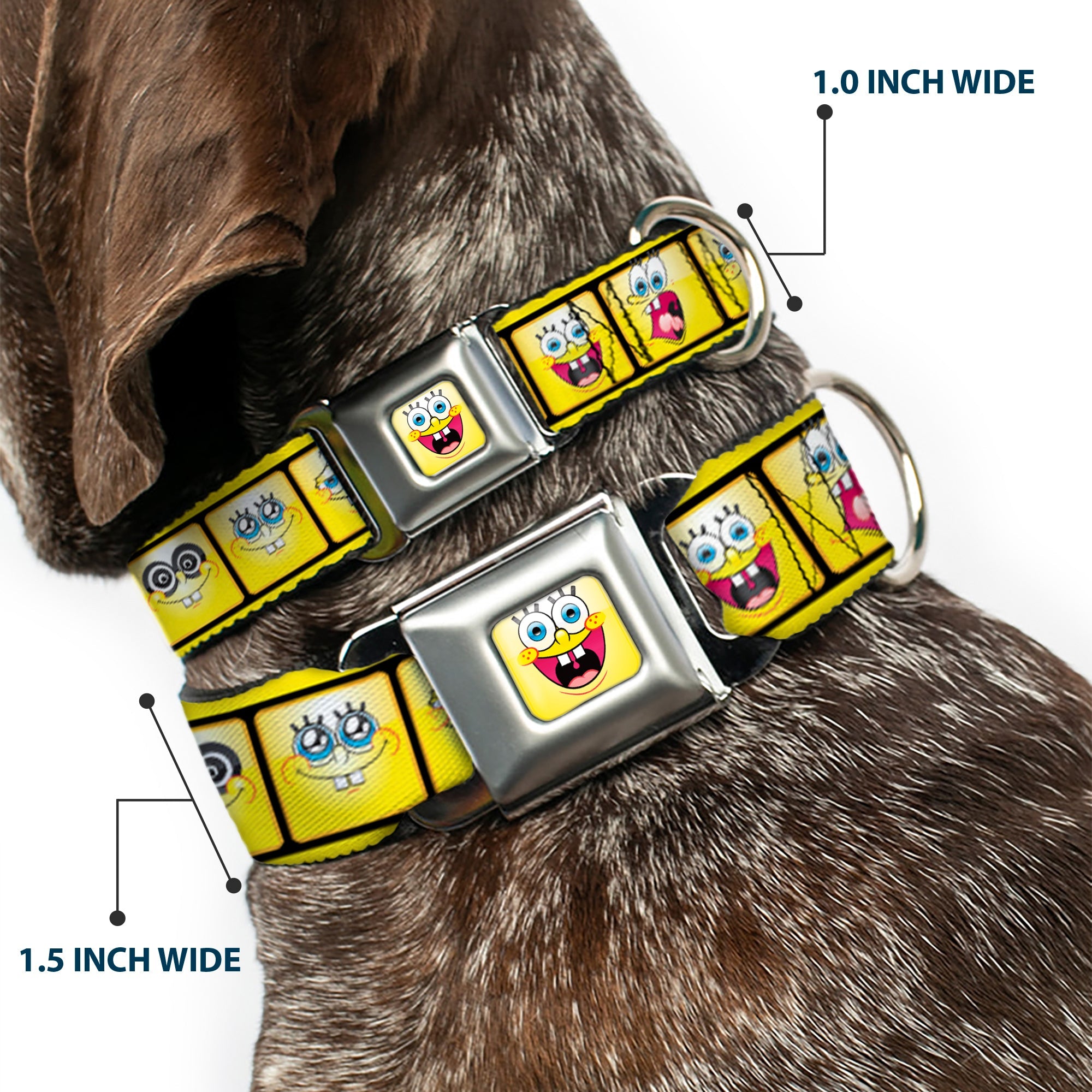 SpongeBob Open Mouth Smile Full Color Seatbelt Buckle Collar - SpongeBob 10-Expressions Filmstrip Yellows/Black/White