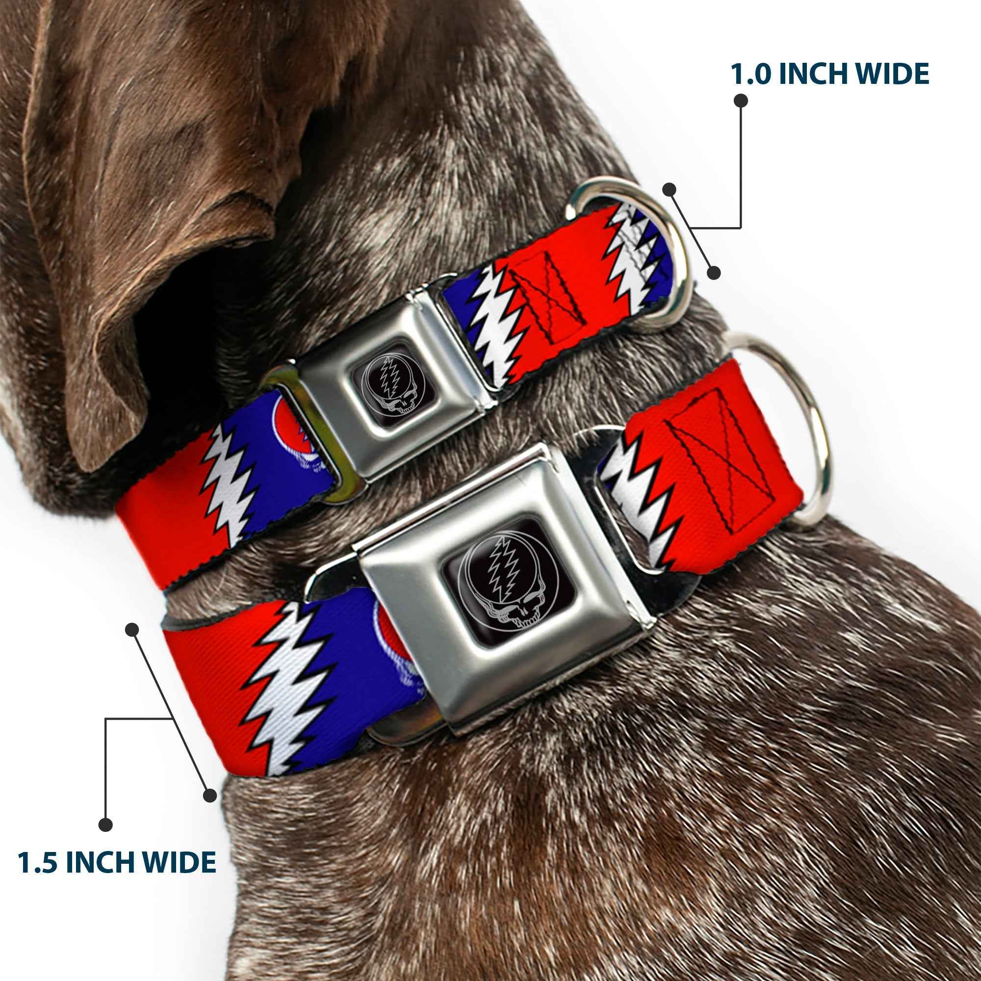 Buckle-Down Steal Your Face Seatbelt Buckle Dog Collar - Steal Your Face w/Lightning Bolt Repeat Red/White/Blue