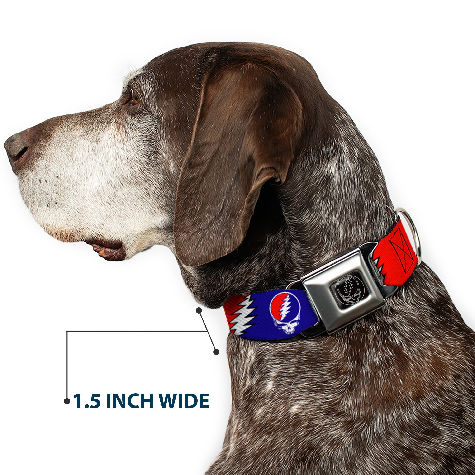 Buckle-Down Steal Your Face Seatbelt Buckle Dog Collar - Steal Your Face w/Lightning Bolt Repeat Red/White/Blue