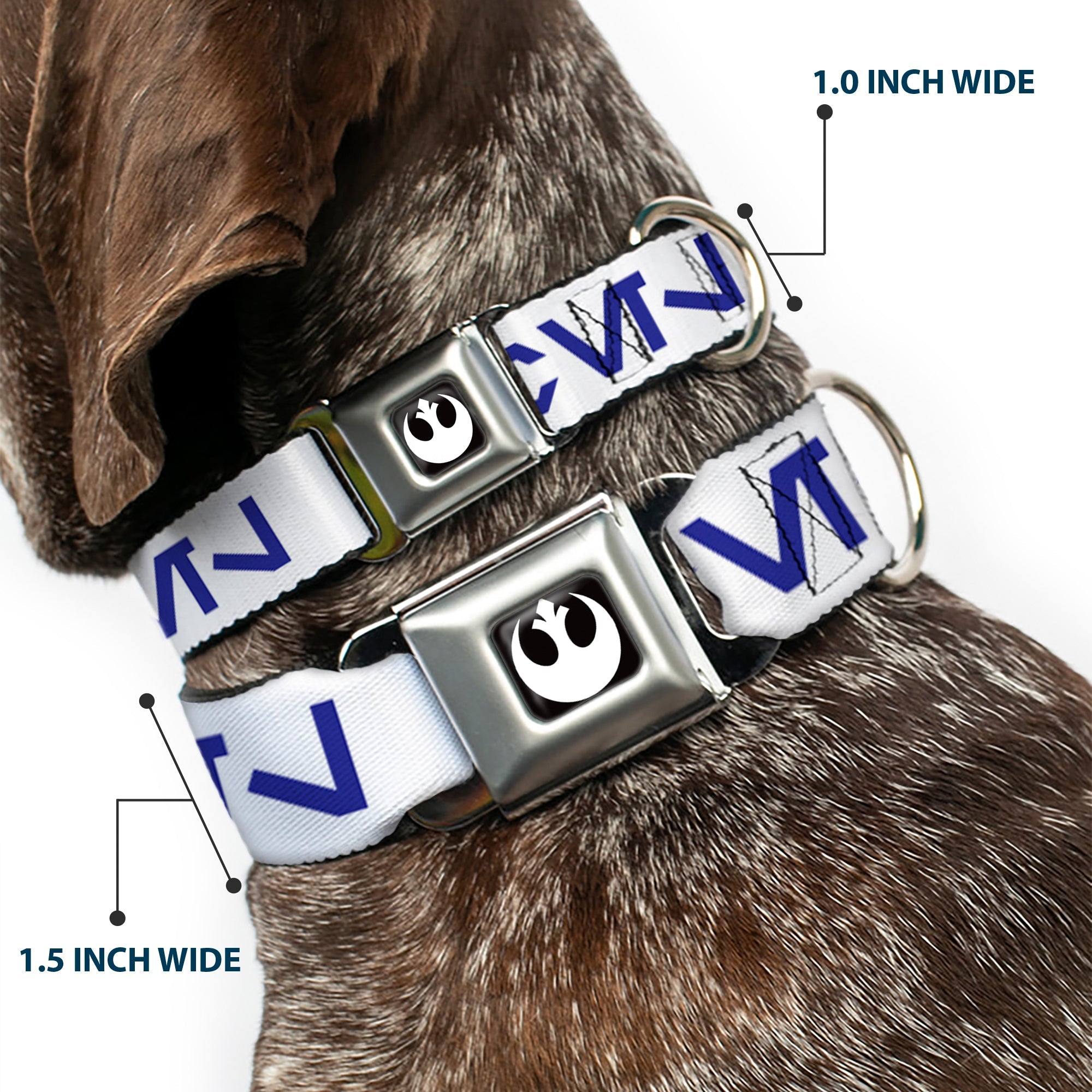 Star Wars Rebel Alliance Insignia Full Color Black/White Seatbelt Buckle Collar - Star Wars Aurebesh REBEL White/Blue