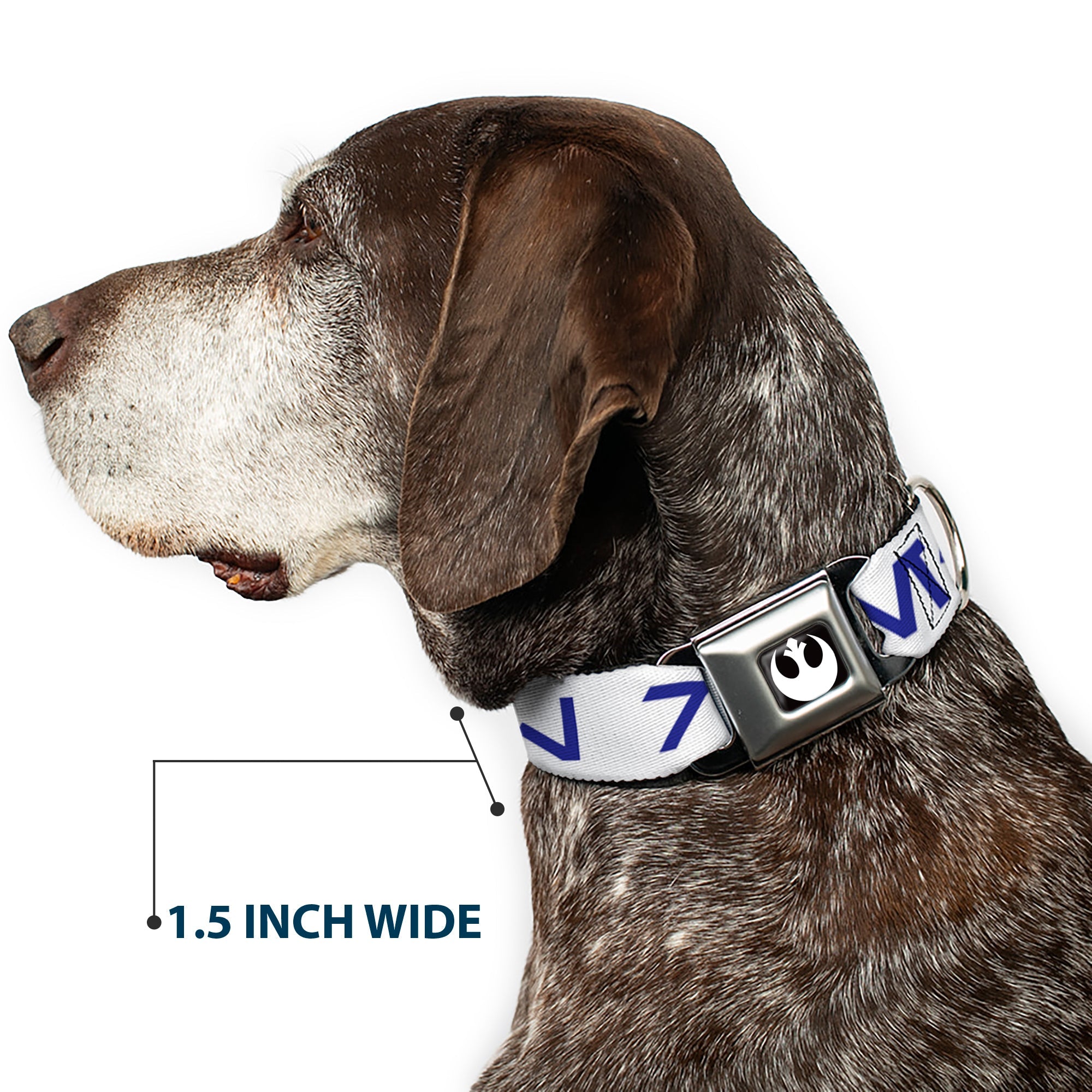 Star Wars Rebel Alliance Insignia Full Color Black/White Seatbelt Buckle Collar - Star Wars Aurebesh REBEL White/Blue
