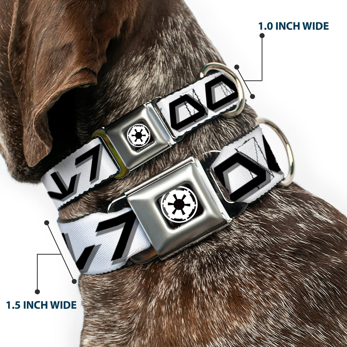 Star Wars Galactic Empire Insignia Full Color Black/White Seatbelt Buckle Collar - Star Wars Aurebesh STORMTROOPER White/Gray/Black