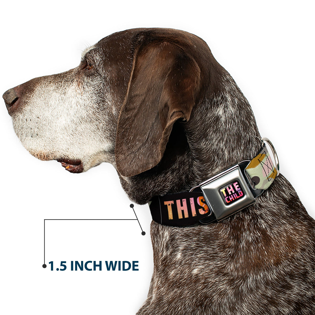 Star Wars THE CHILD Text Full Color Full Color Black/Multi Color Seatbelt Buckle Collar - Star Wars The Child Chibi Pod Pose THIS IS THE WAY Black/Multi Color