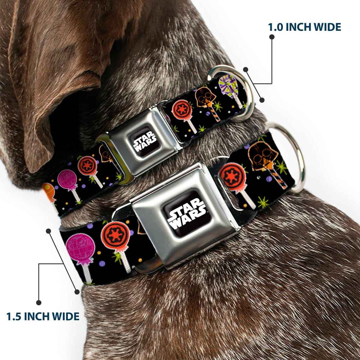STAR WARS Logo Black/White Seatbelt Buckle Collar - Star Wars Festive Lollipop Icons Black/Multi Color