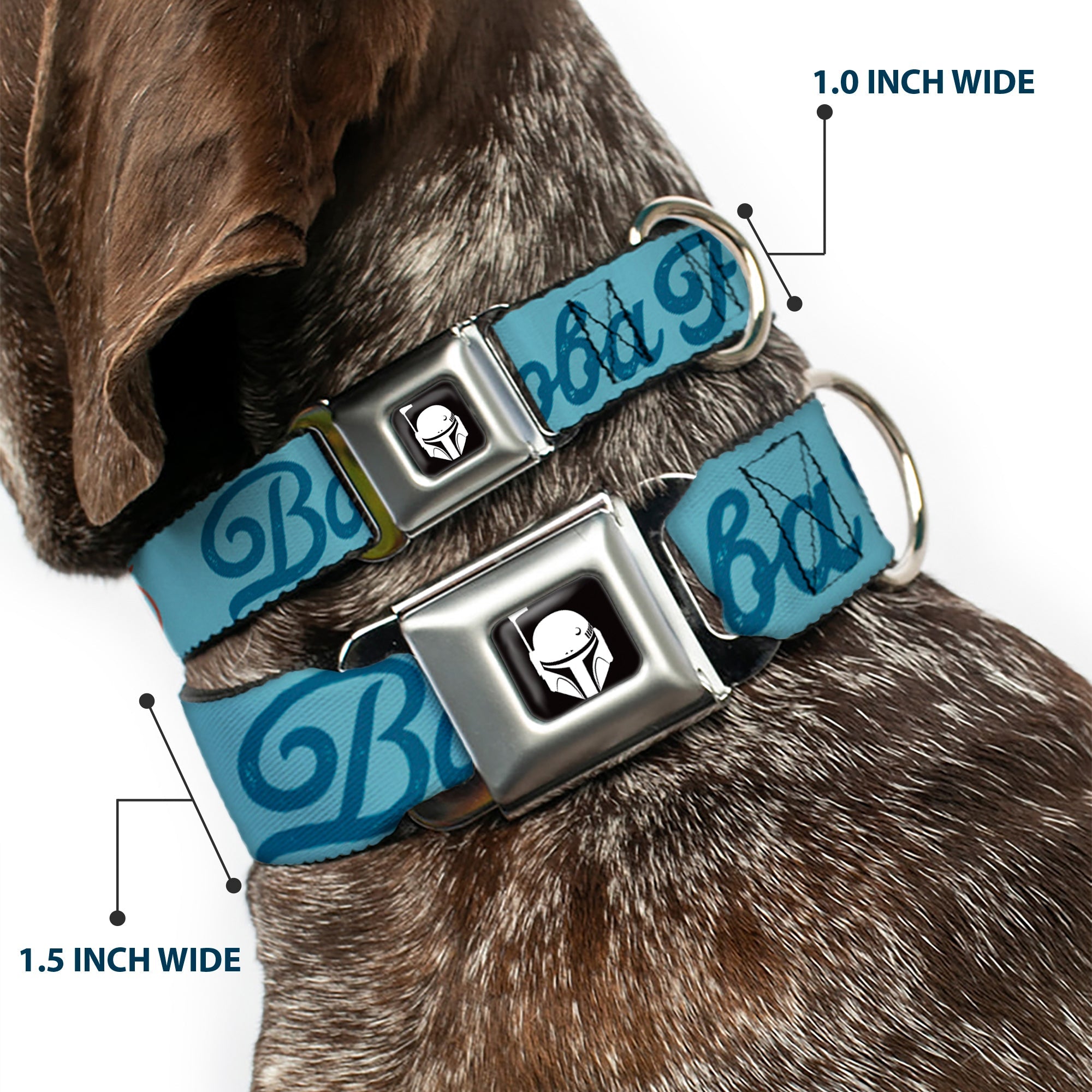 Star Wars Boba Fett Helmet Logo Full Color Black/White Seatbelt Buckle Collar - Star Wars BOBA FETT Script and Logo Blues/Red