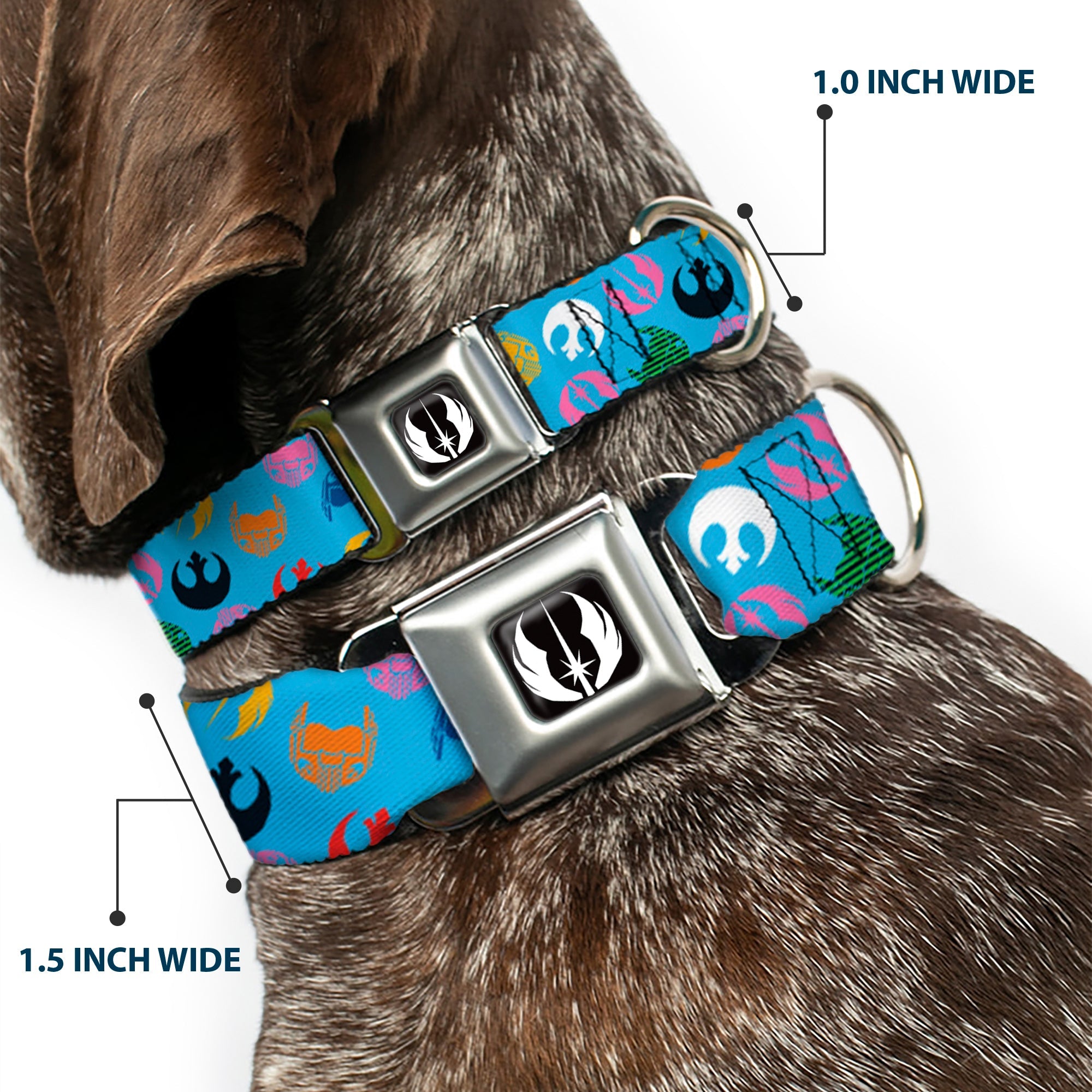 Star Wars Jedi Order Icon Full Color Black/White Seatbelt Buckle Collar - Star Wars Jedi Order and Rebel Alliance Icons Scattered Blue/Multi Color