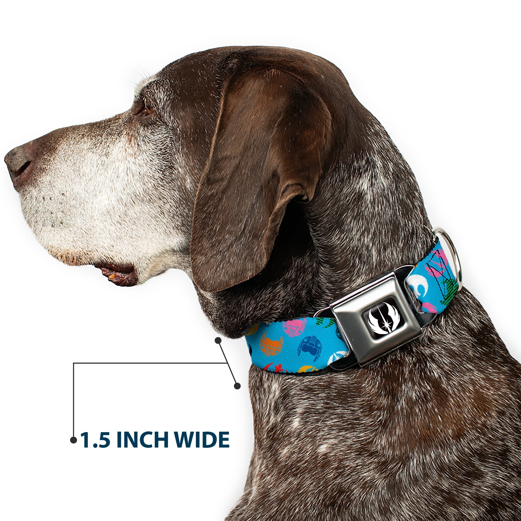 Star Wars Jedi Order Icon Full Color Black/White Seatbelt Buckle Collar - Star Wars Jedi Order and Rebel Alliance Icons Scattered Blue/Multi Color