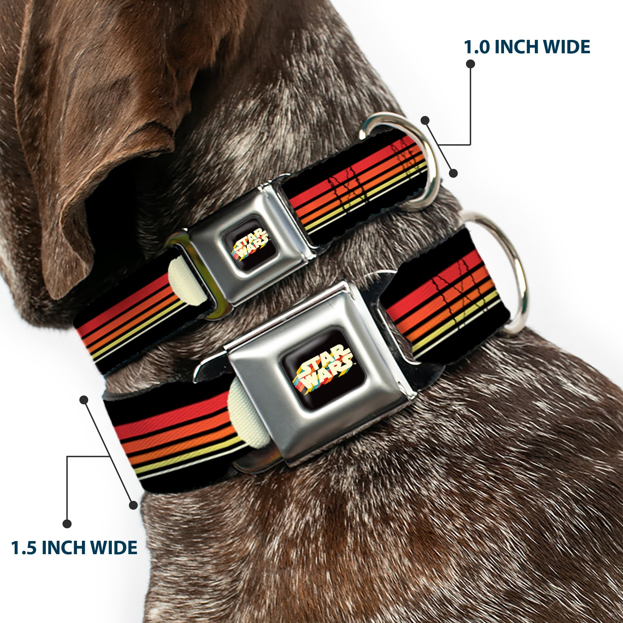 STAR WARS Stripe Logo Full Color Black/Multi Color Seatbelt Buckle Collar - Star Wars Millennium Falcon Stripe Black/Multi Color