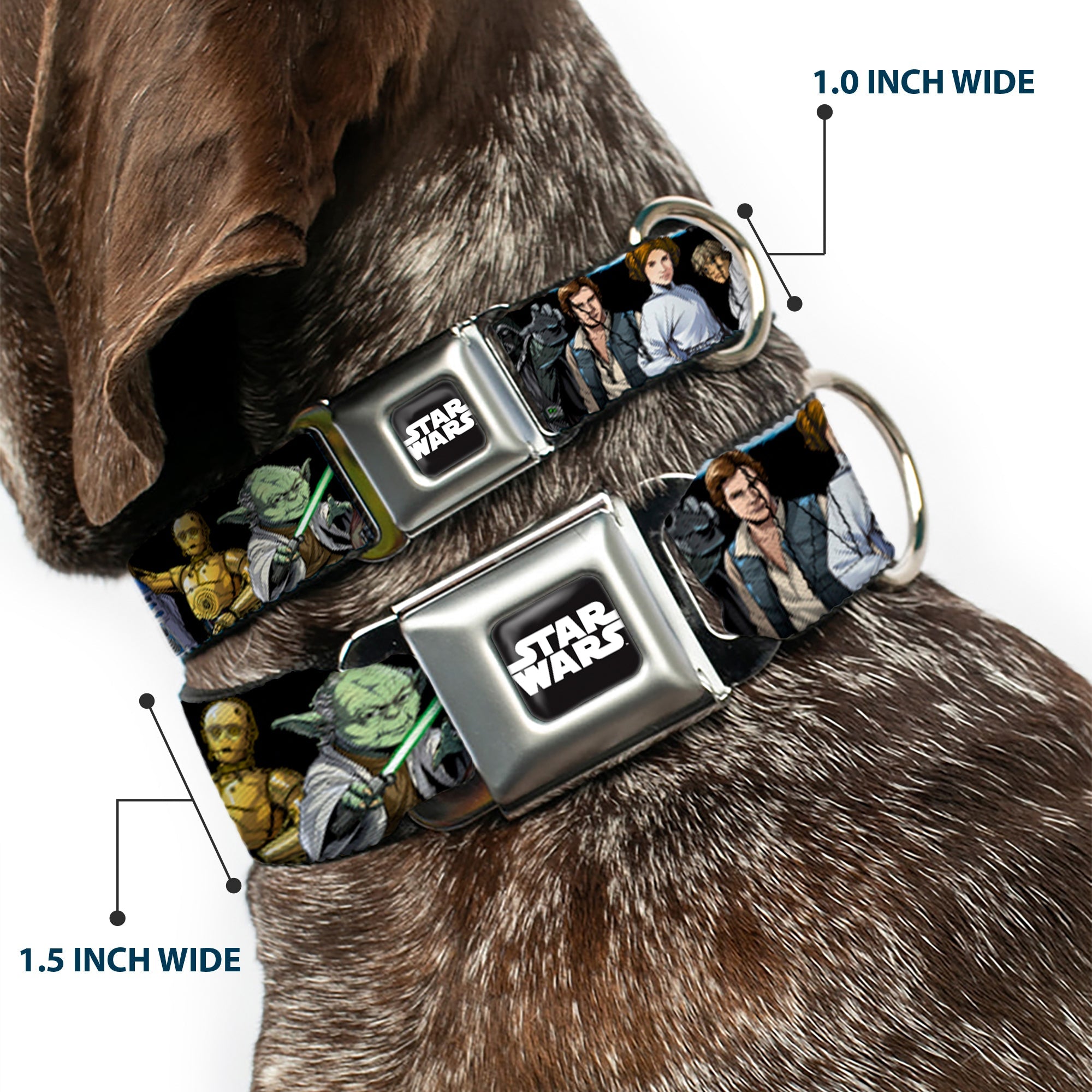 STAR WARS Logo Full Color Black/White Seatbelt Buckle Collar - Star Wars Classic Character Poses Black