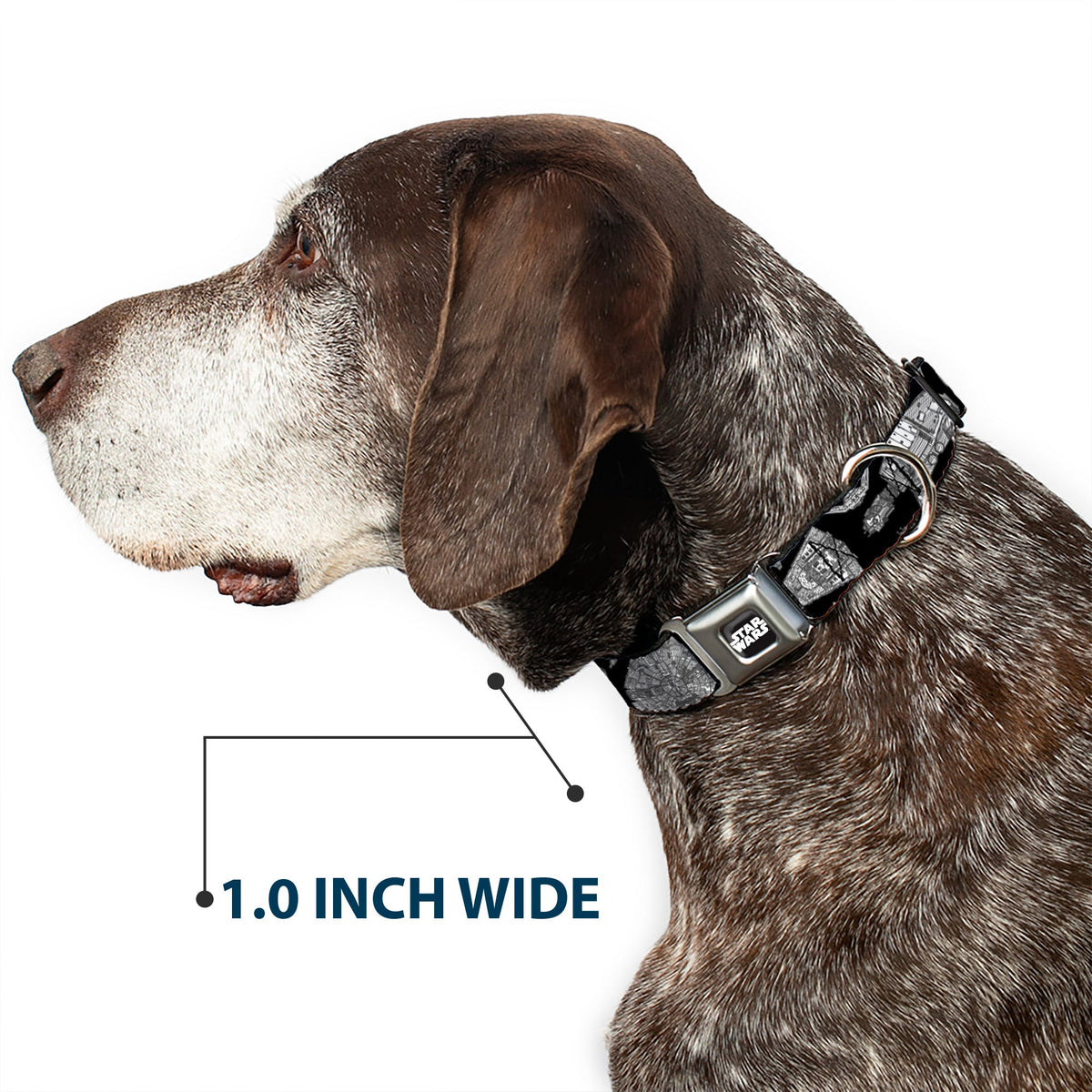 STAR WARS Logo Full Color Black/White Seatbelt Buckle Collar - Star Wars Ships and Vehicles Black/Grays