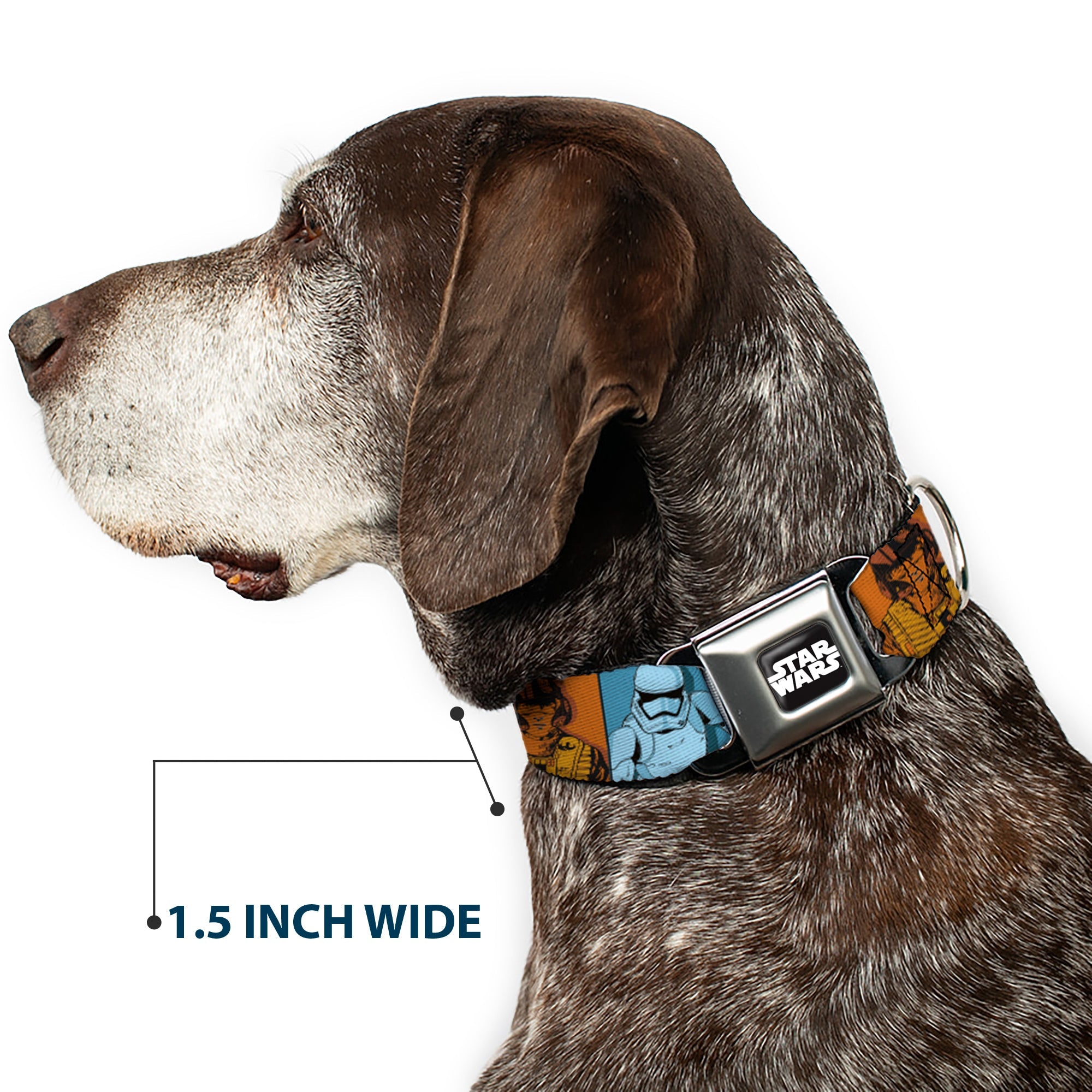STAR WARS Logo Full Color Black/White Seatbelt Buckle Collar - Star Wars the Force Awakens Character and Icon Blocks Multi Color