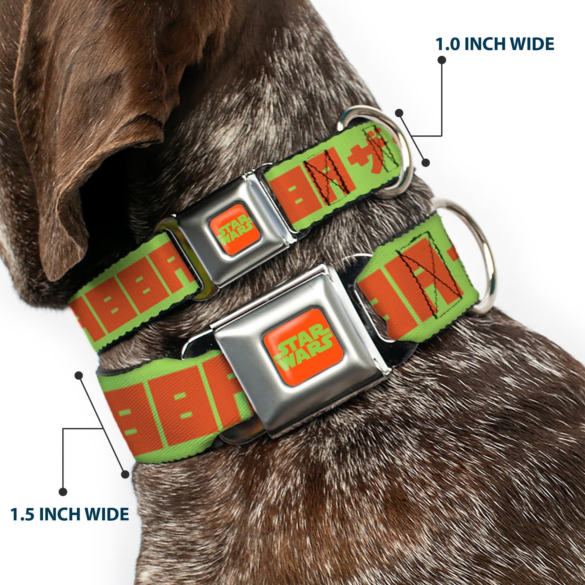 STAR WARS Logo Full Color Orange/Green Seatbelt Buckle Collar - Star Wars JABBA THE HUTT Text and Characters Green/Orange