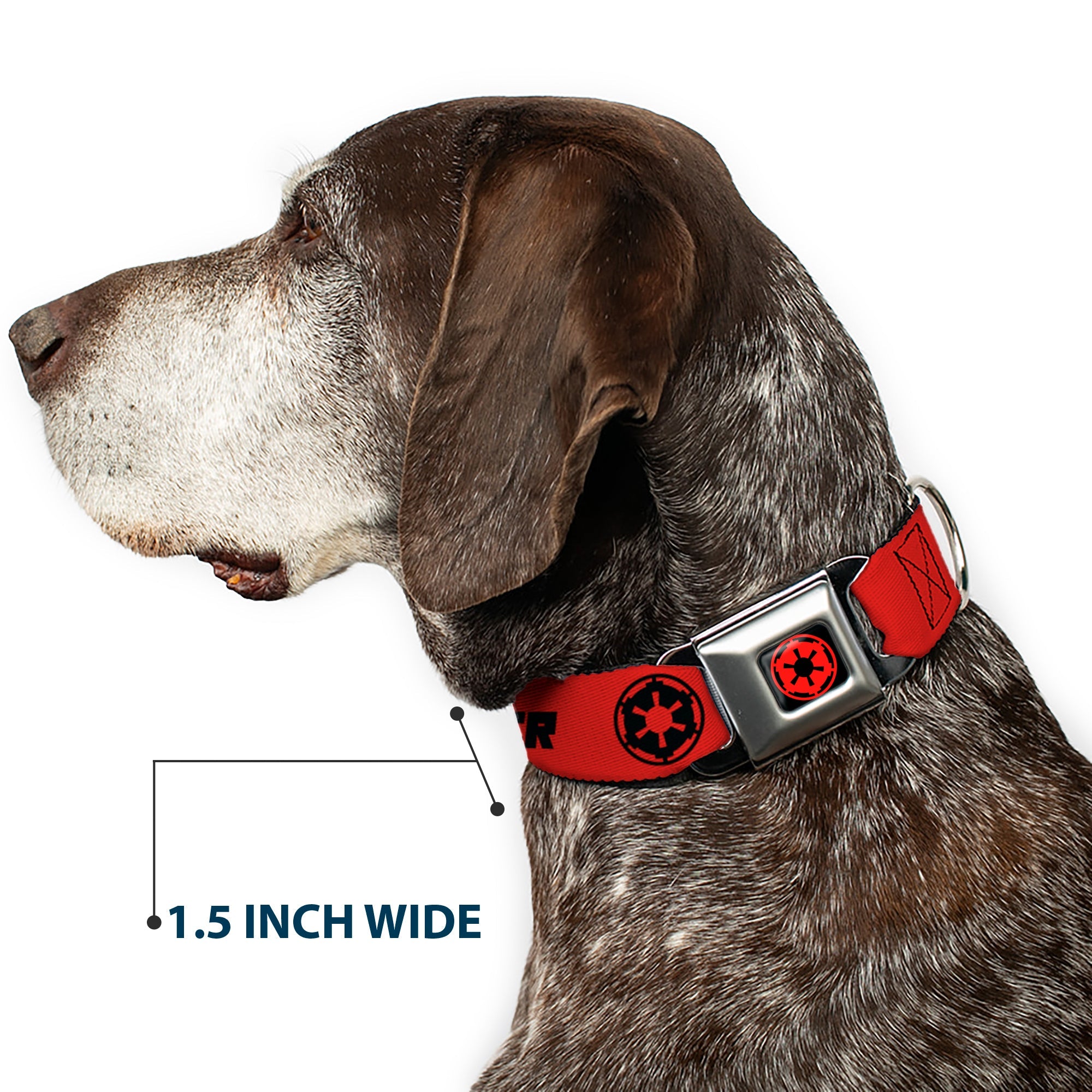 Star Wars Galactic Empire Insignia Full Color Black/Red Seatbelt Buckle Collar - Star Wars DARTH VADER Text and Galactic Empire Logo Red/Black