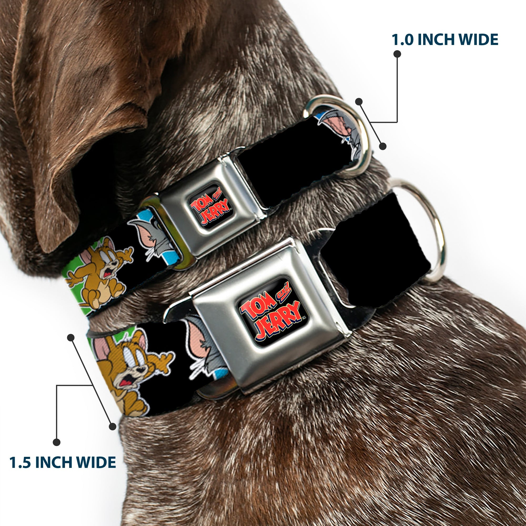 Tom and Jerry Logo Full Color Black Red Seatbelt Buckle Collar - TOM & JERRY Poses Black/Multi Color