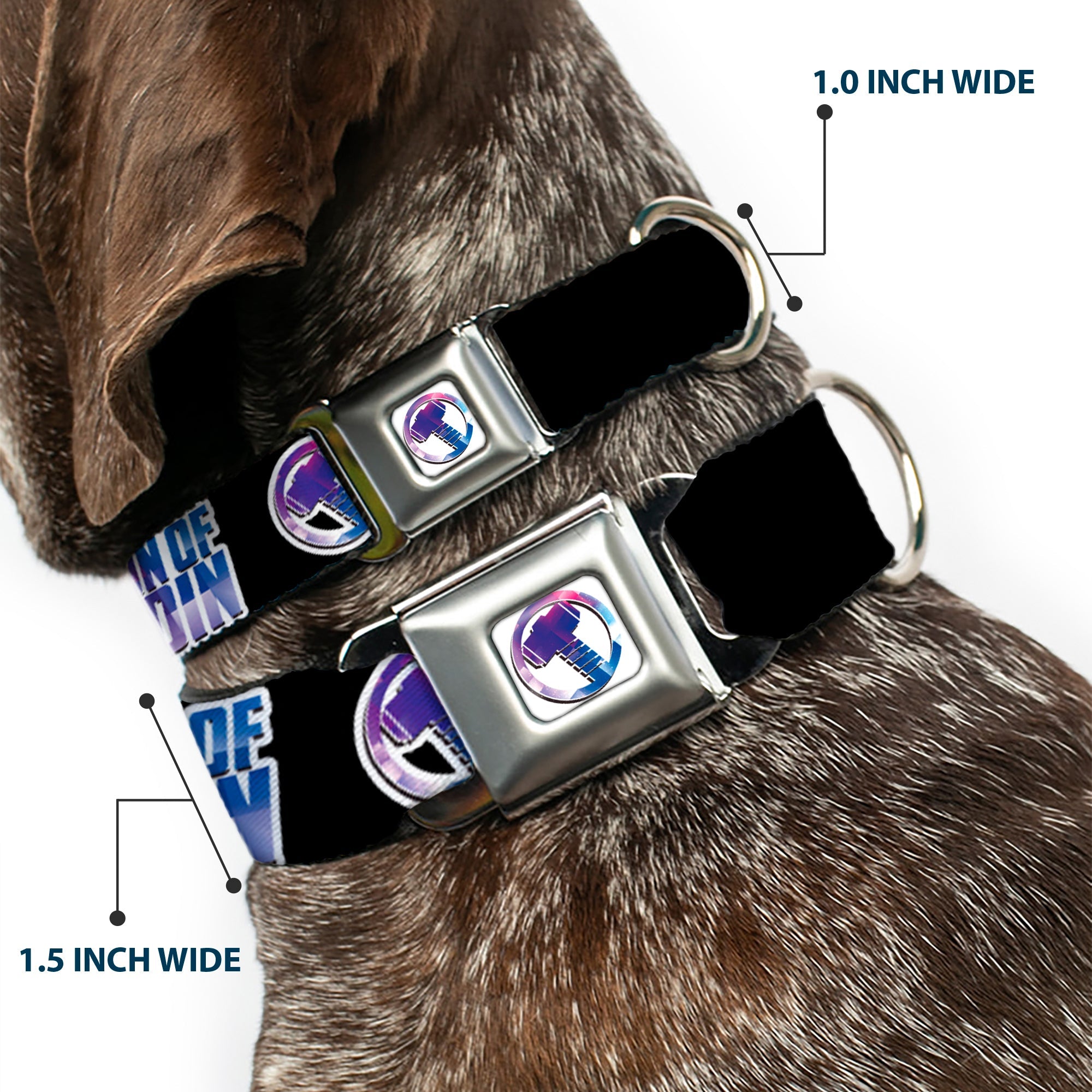 Thor Hamer Icon Full Color White/Blues Seatbelt Buckle Collar - Thor SON OF ODIN/Hamner Icon Black/White/Blues