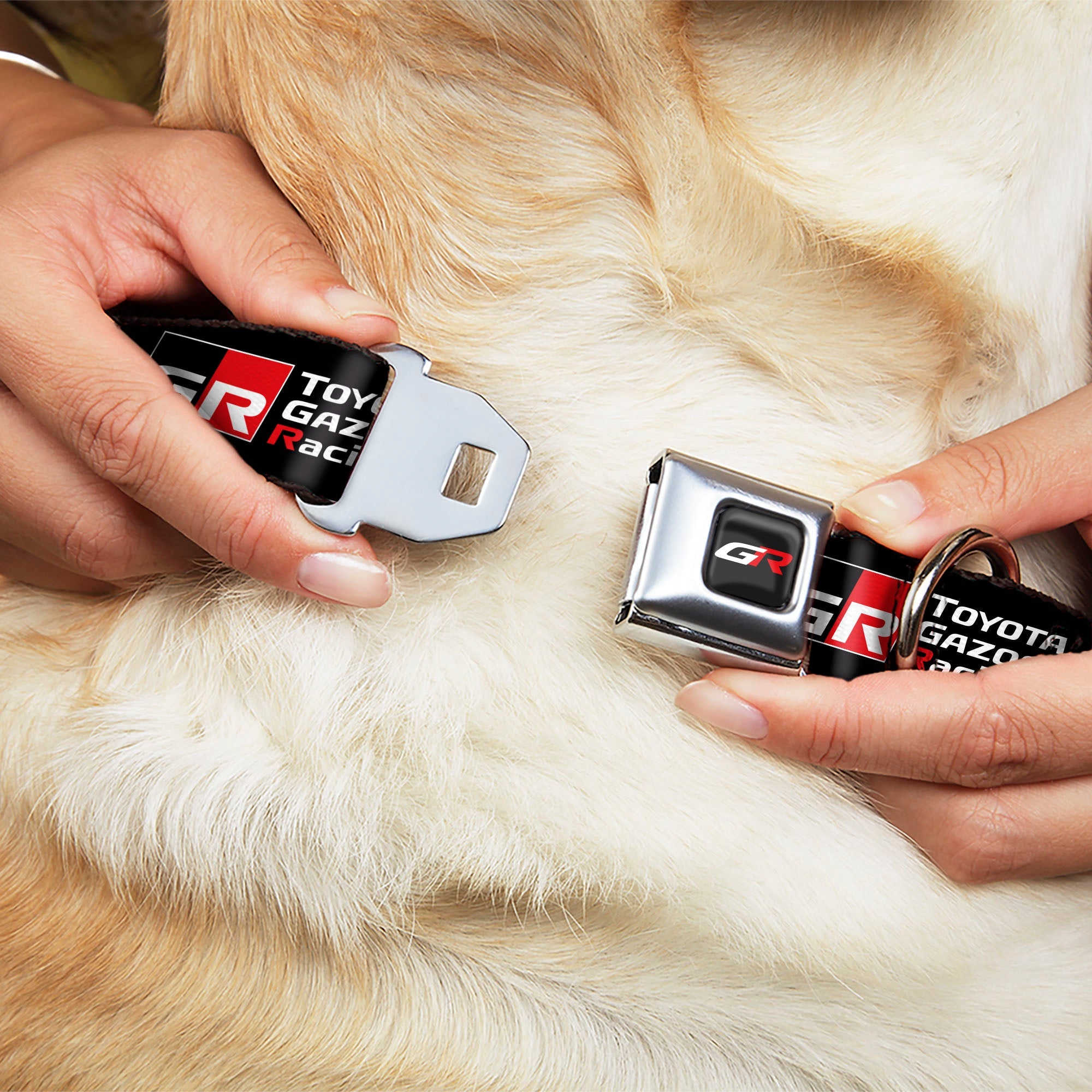 Buckle-Down Toyota Gazoo Racing GR Logo Black/White Red & North America Logo Black/White/Red Seatbelt Buckle Dog Collar