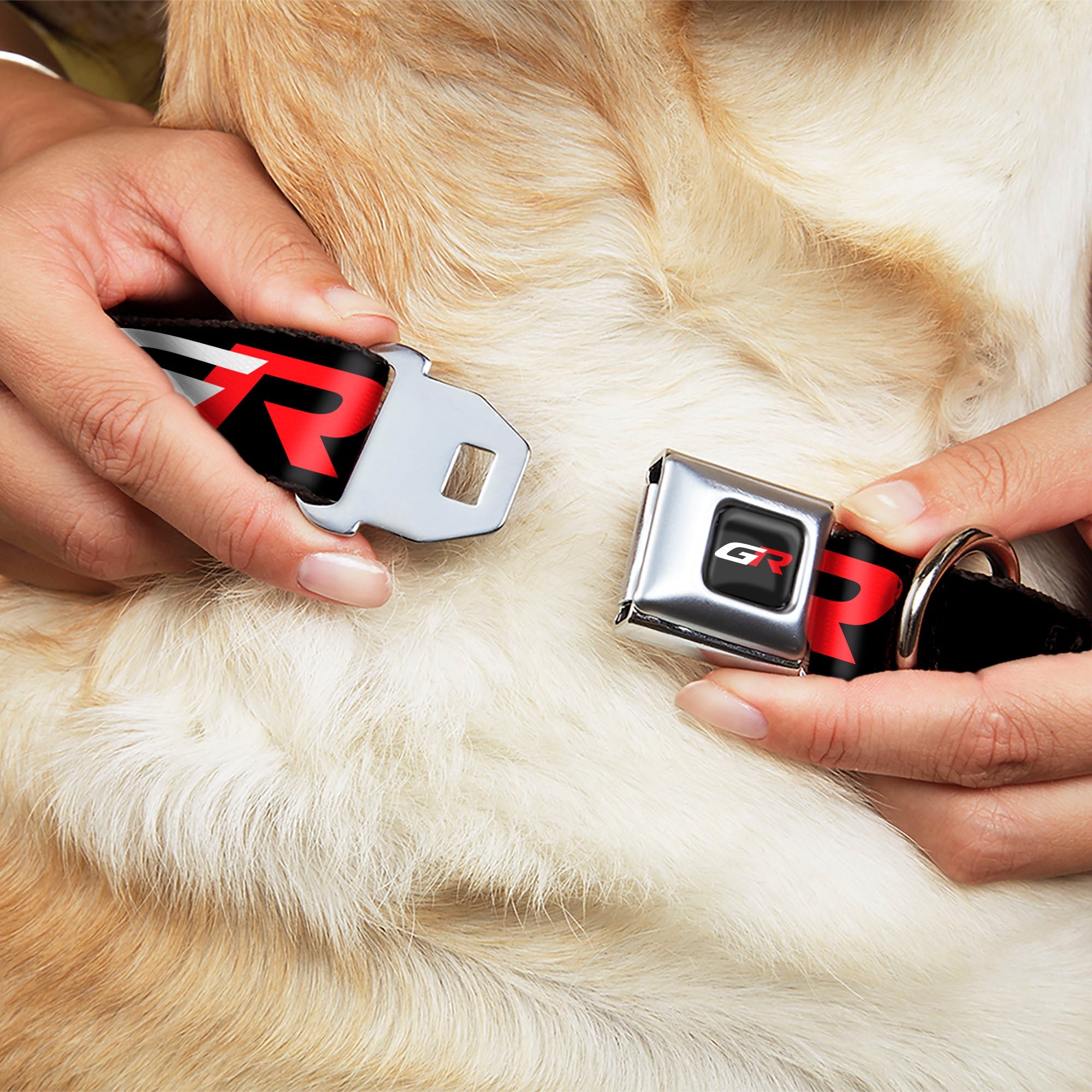 Buckle-Down Toyota Gazoo Racing GR Logo Full Color Black/White Red Seatbelt Buckle Dog Collar - Toyota Gazoo Racing GR Logo and Text Black/White/Red