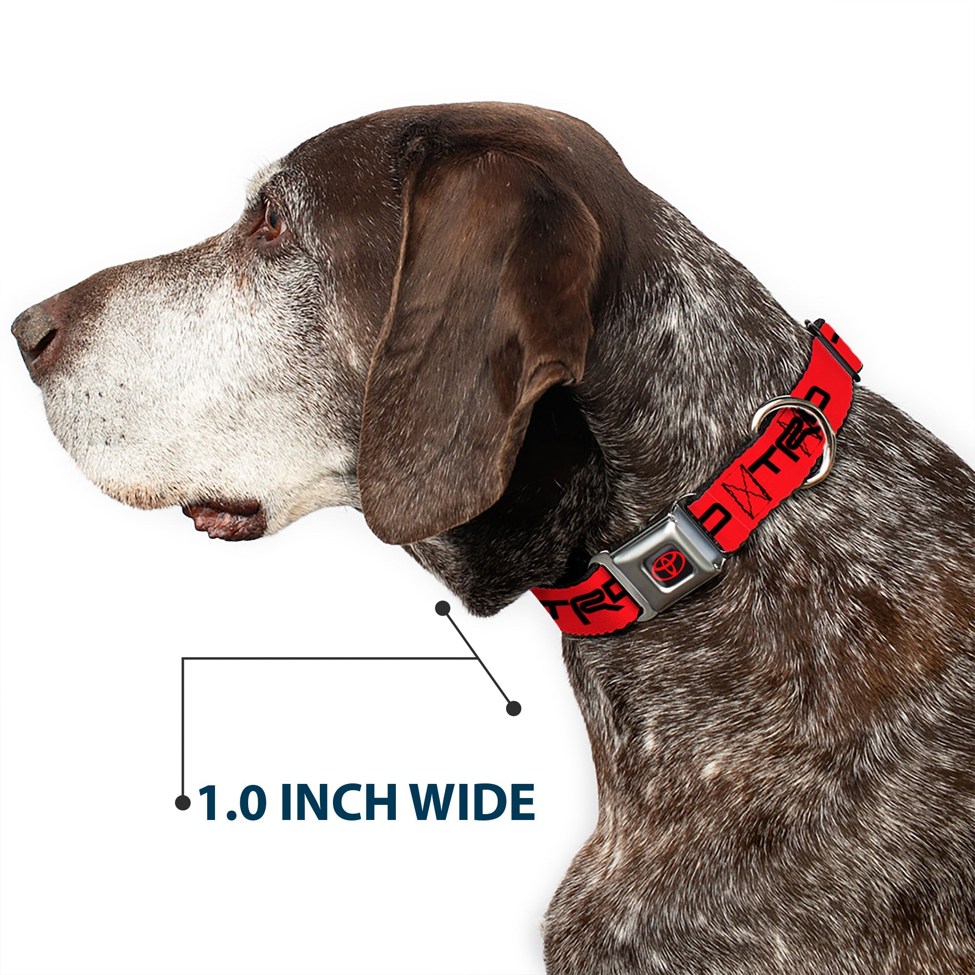 Buckle-Down Toyota Logo Full Color Black/Red Seatbelt Buckle Dog Collar - Toyota Racing Development TRD Logo Red/Black