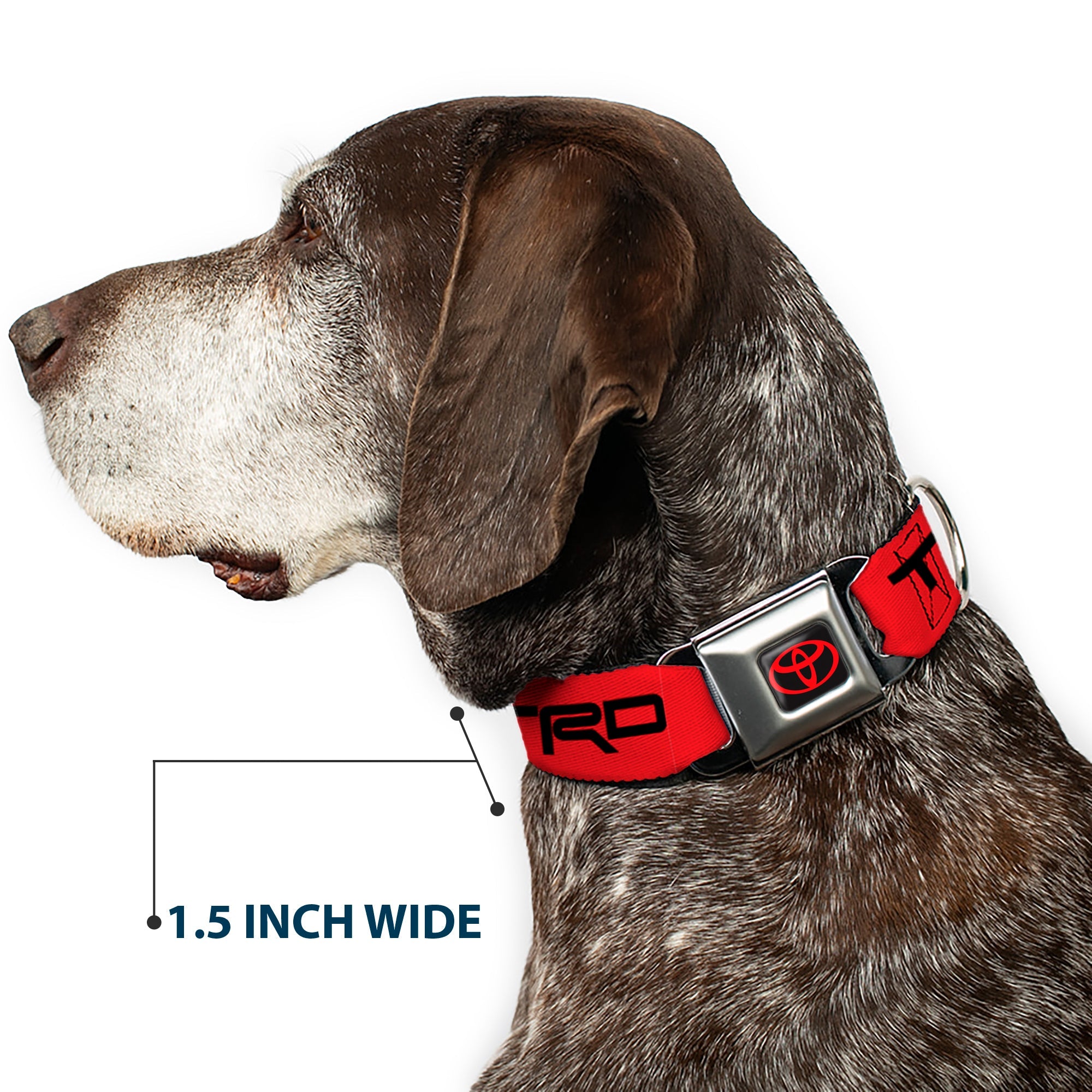 Buckle-Down Toyota Logo Full Color Black/Red Seatbelt Buckle Dog Collar - Toyota Racing Development TRD Logo Red/Black