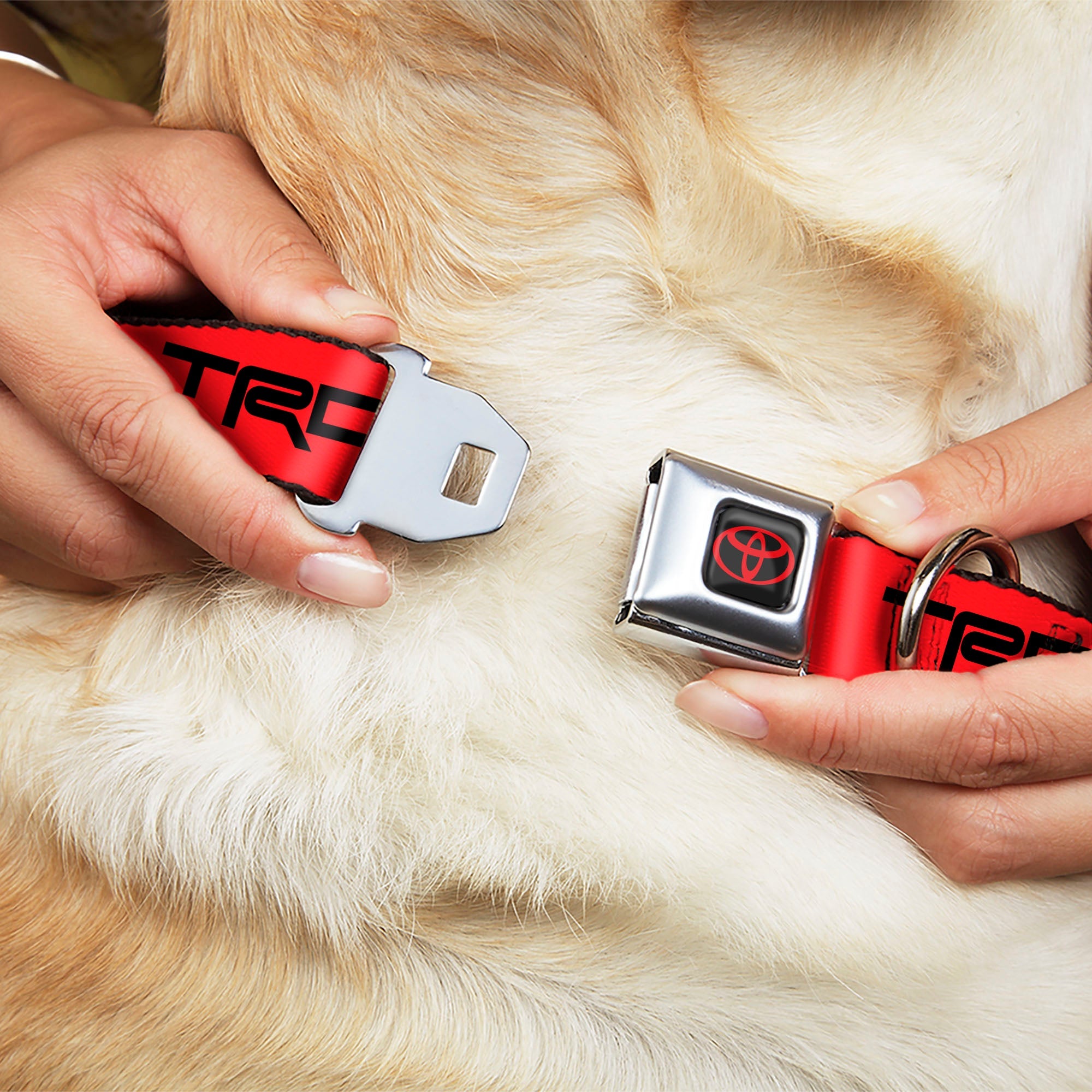 Buckle-Down Toyota Logo Full Color Black/Red Seatbelt Buckle Dog Collar - Toyota Racing Development TRD Logo Red/Black