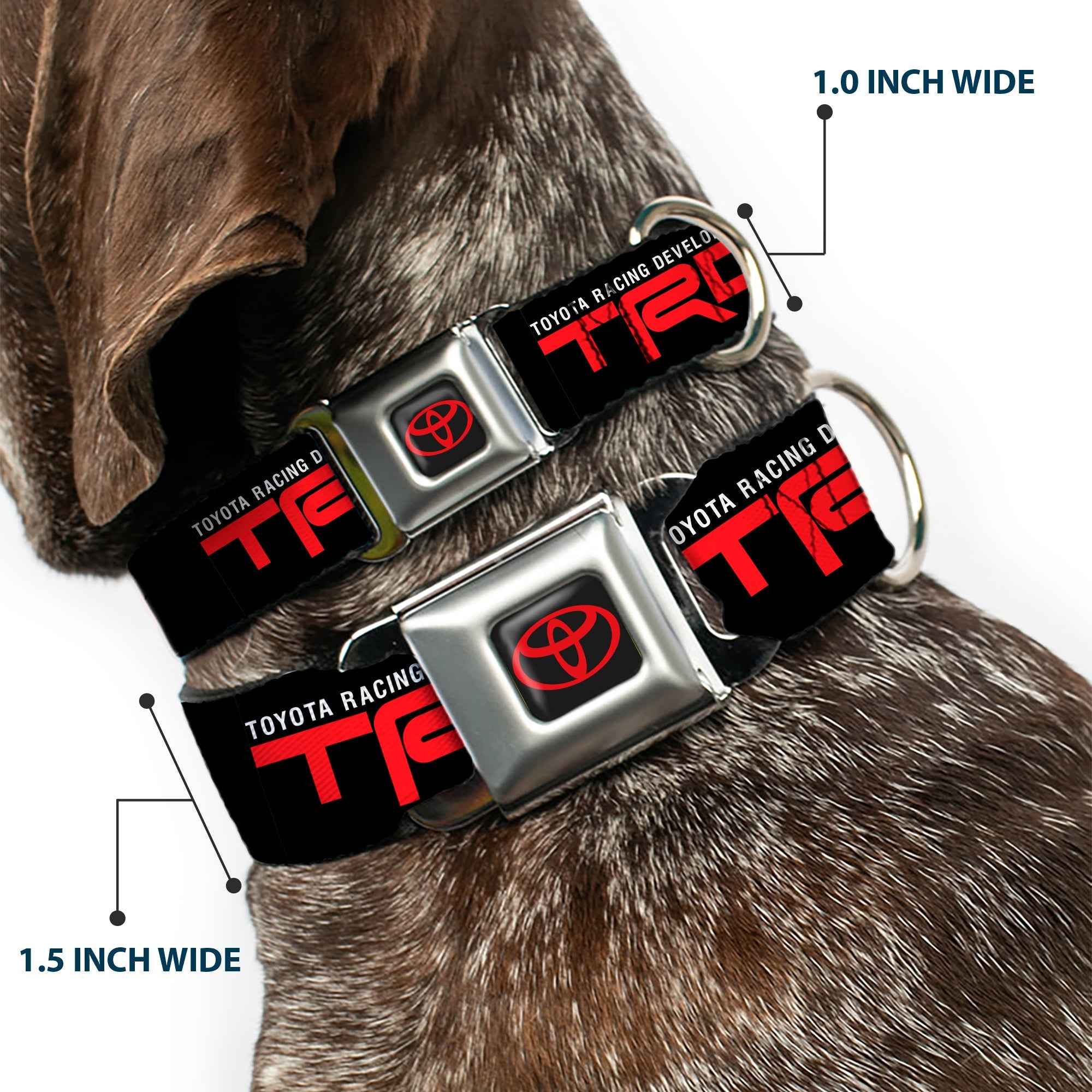 Buckle-Down Toyota Logo Full Color Black/Red Seatbelt Buckle Dog Collar - Toyota Racing Development TRD Logo Black/White/Red