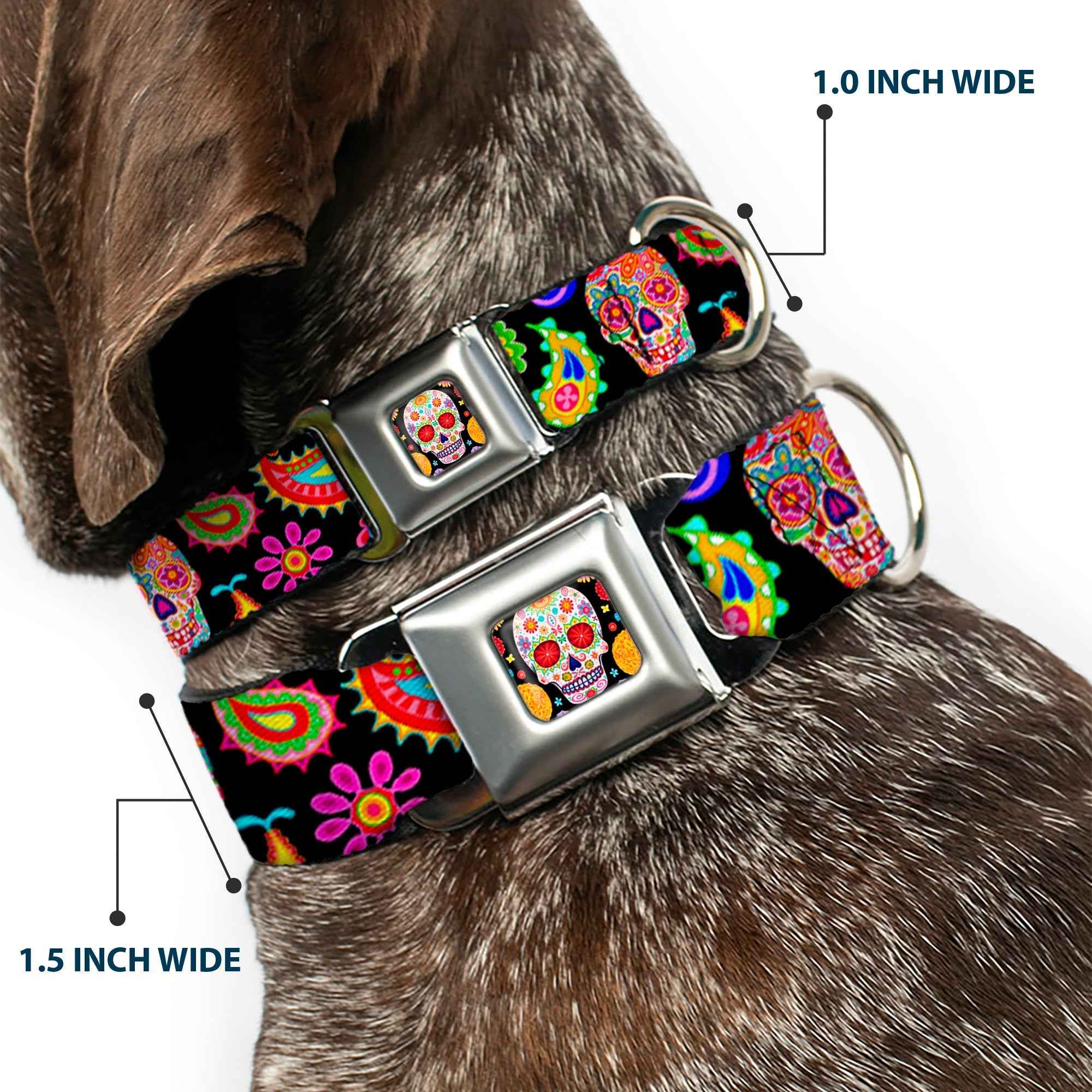 Buckle-Down Sugar Skull Starburst Full Color Black/Multicolor Seatbelt Buckle Dog Collar - Bobo Sugar Skull/Paisley Black/Multicolor