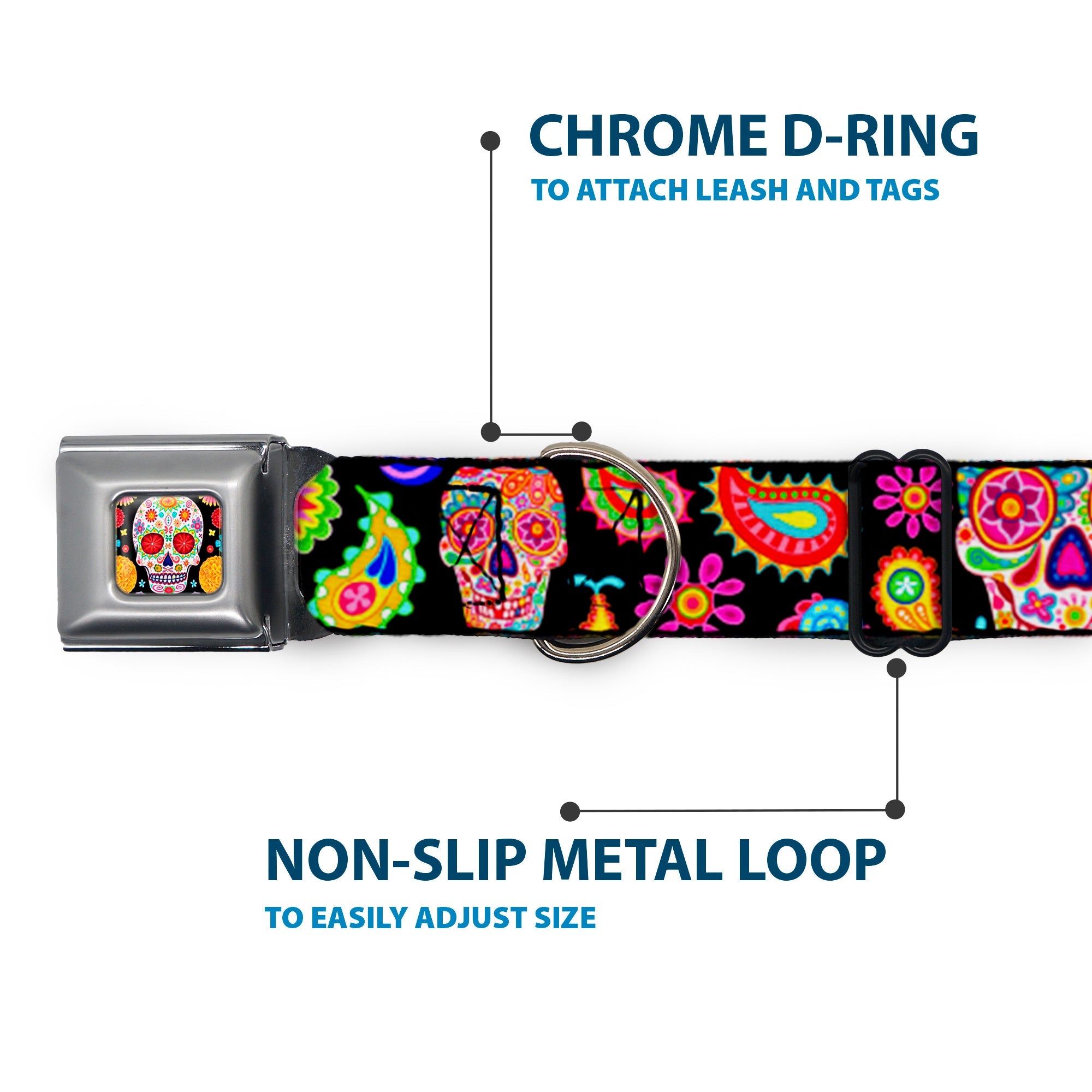 Buckle-Down Sugar Skull Starburst Full Color Black/Multicolor Seatbelt Buckle Dog Collar - Bobo Sugar Skull/Paisley Black/Multicolor
